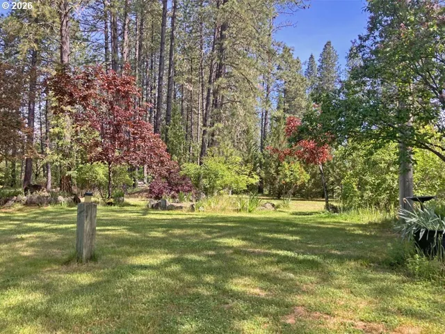 Yard-Back
