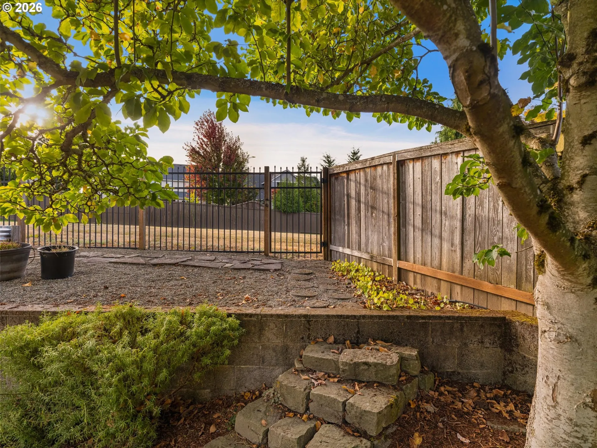 Backyard-Fenced