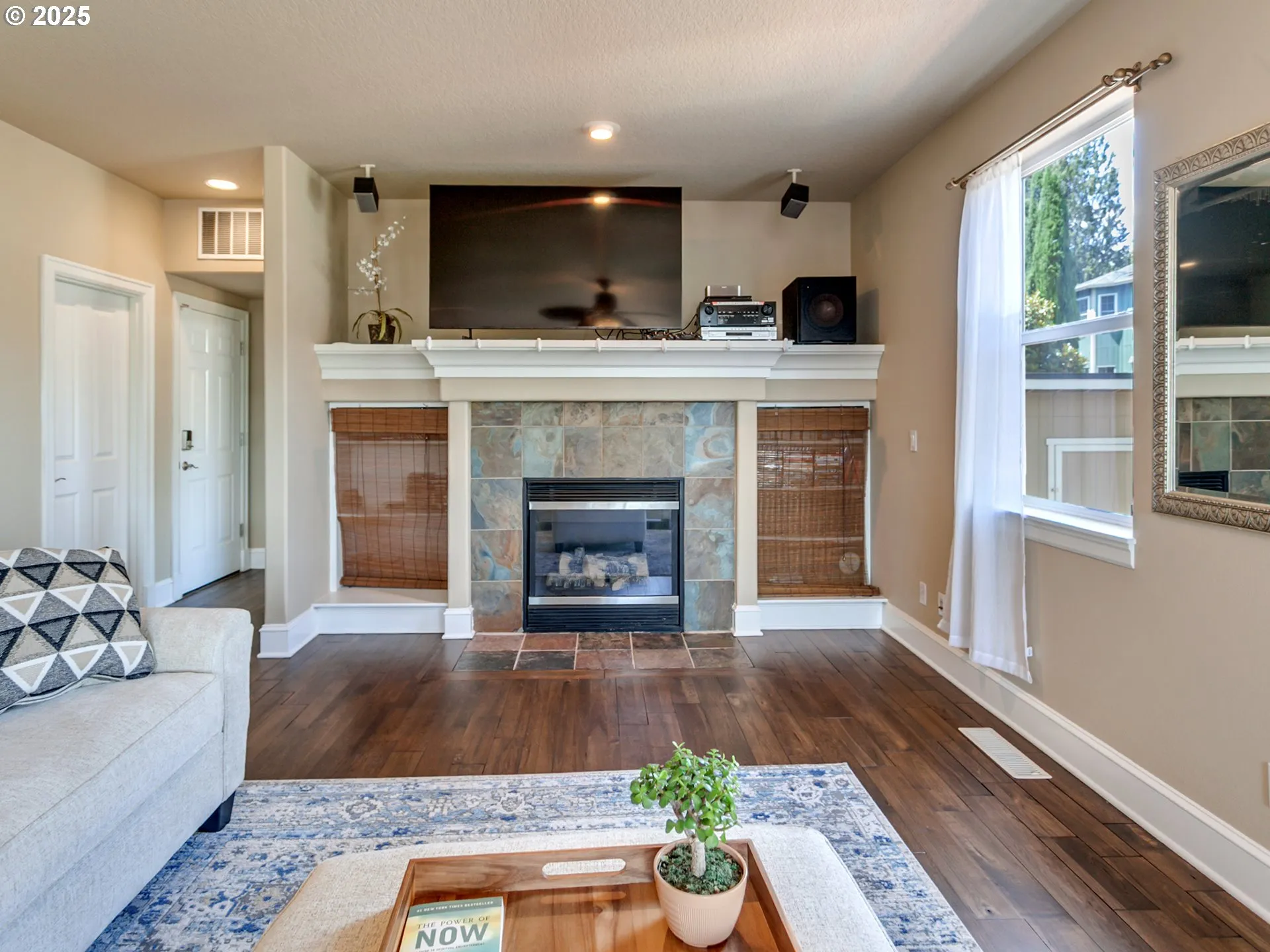 Living Room-Fireplace