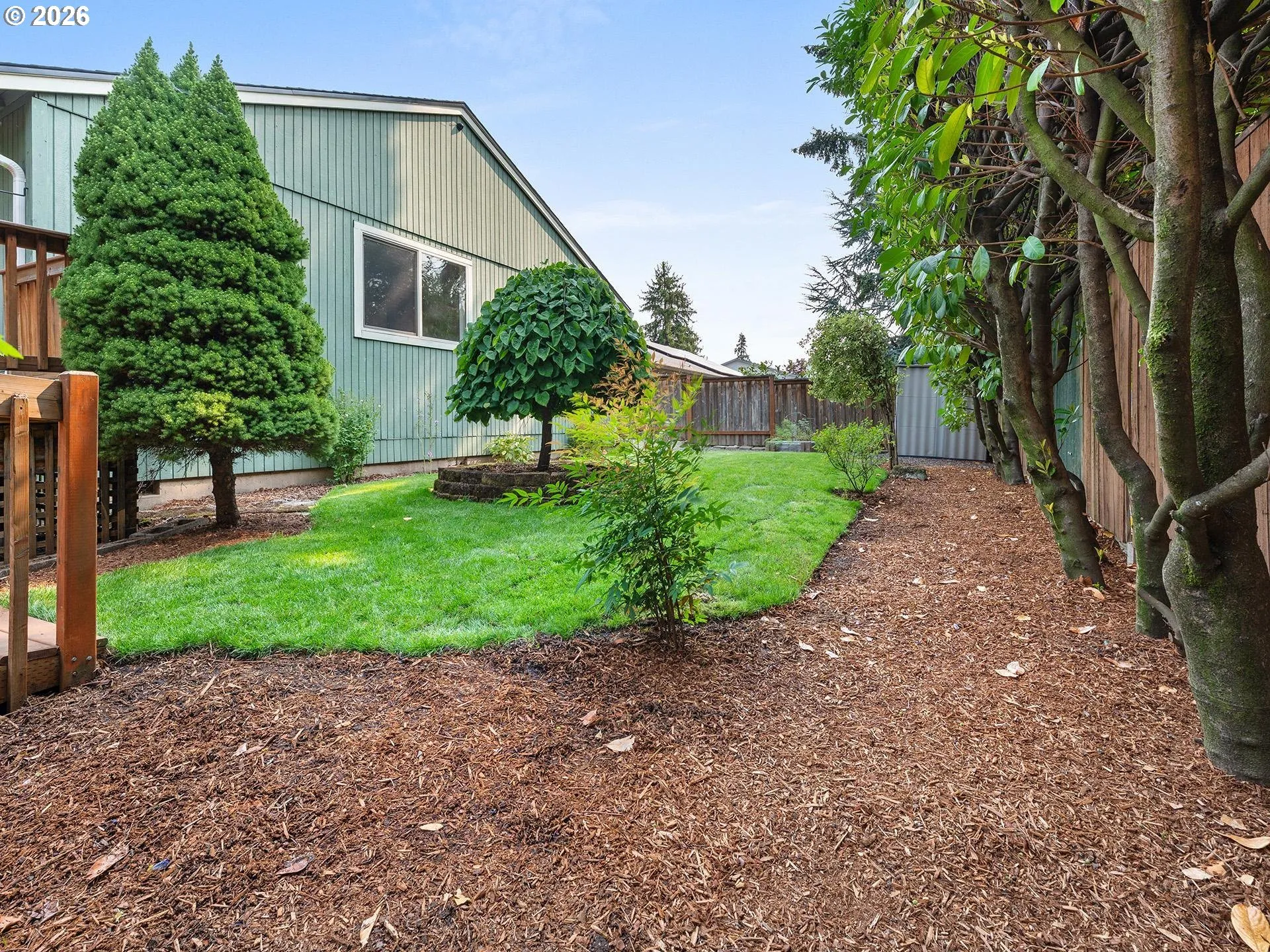 Backyard