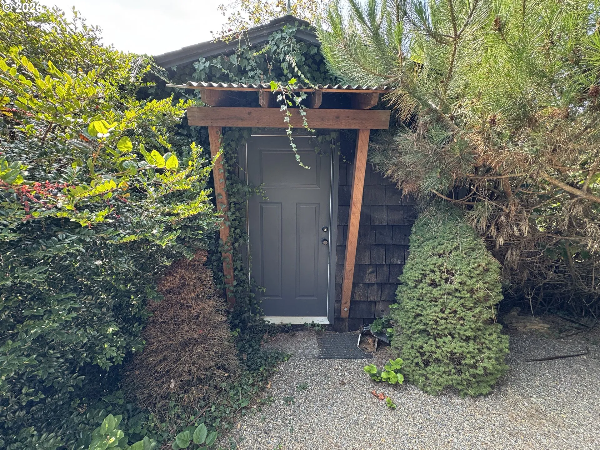 Shed