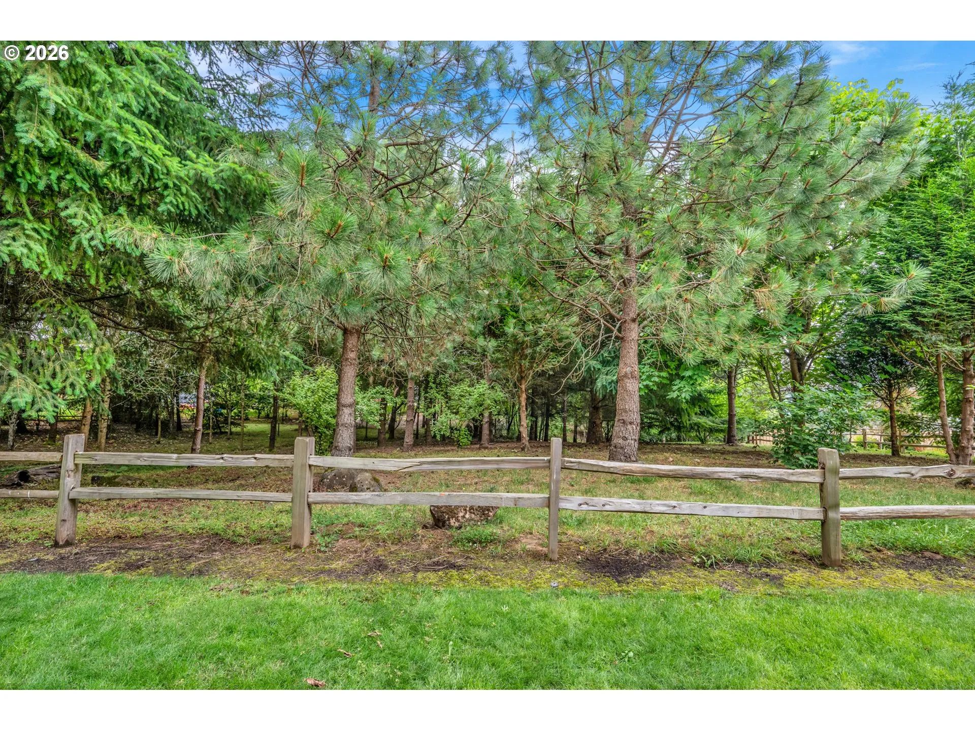 Backyard-View From