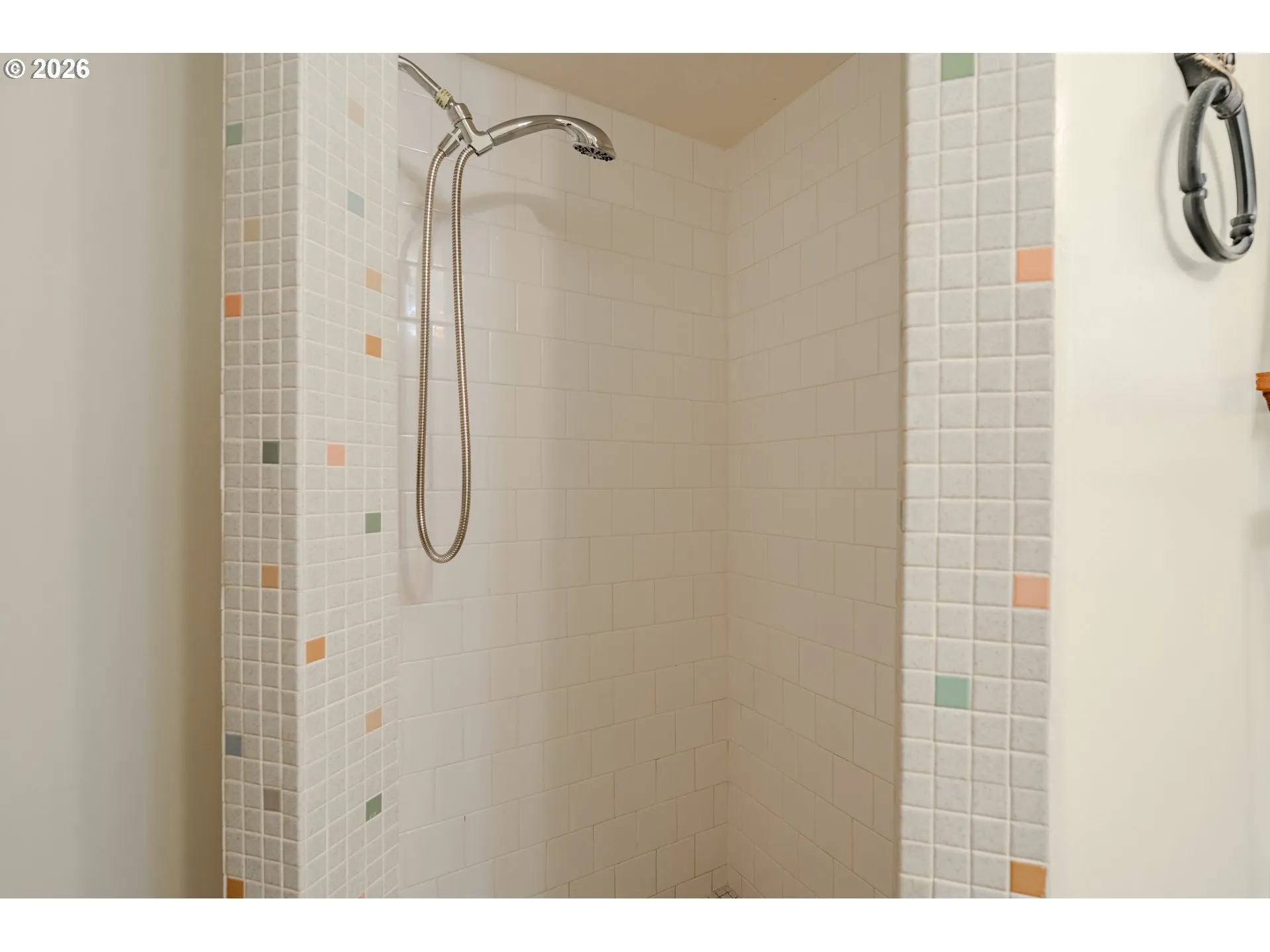 Bathroom-Walk in Shower