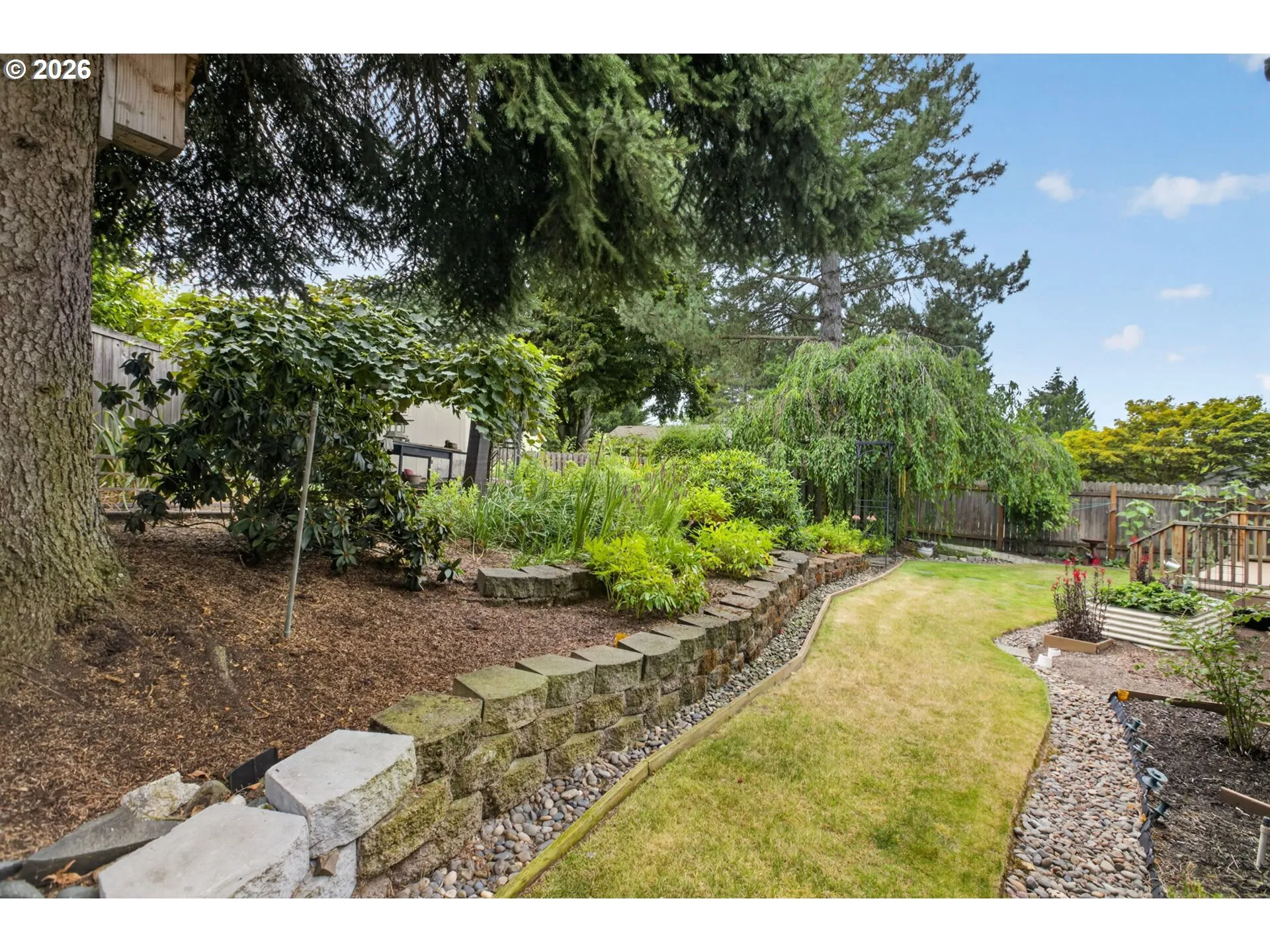 Backyard-Fenced