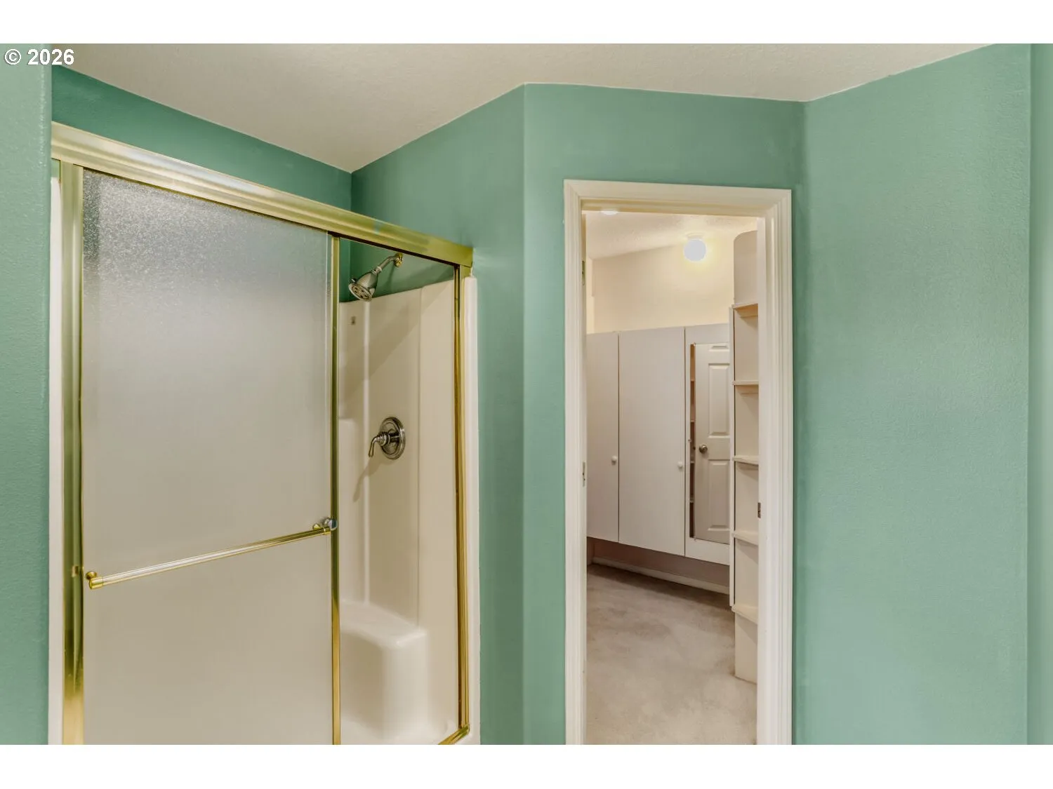 Bathroom-Walk in Shower