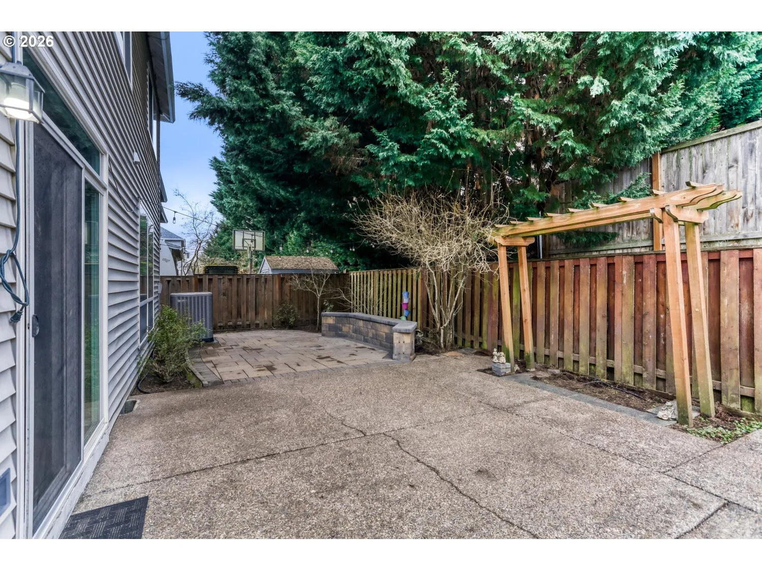 Backyard-# 3