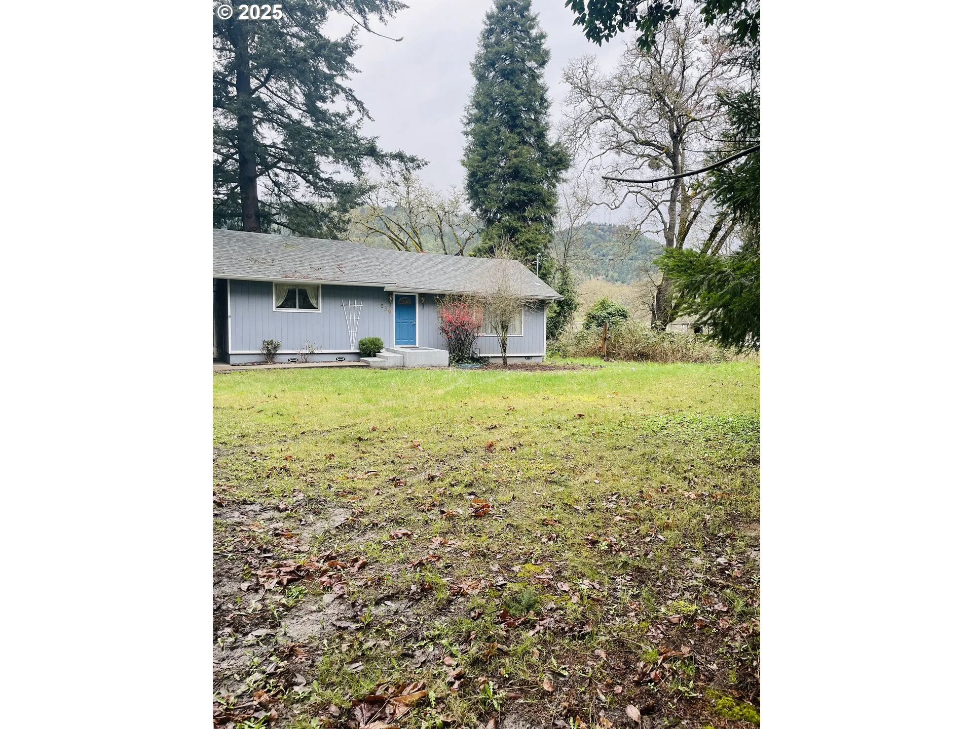 Front Yard
