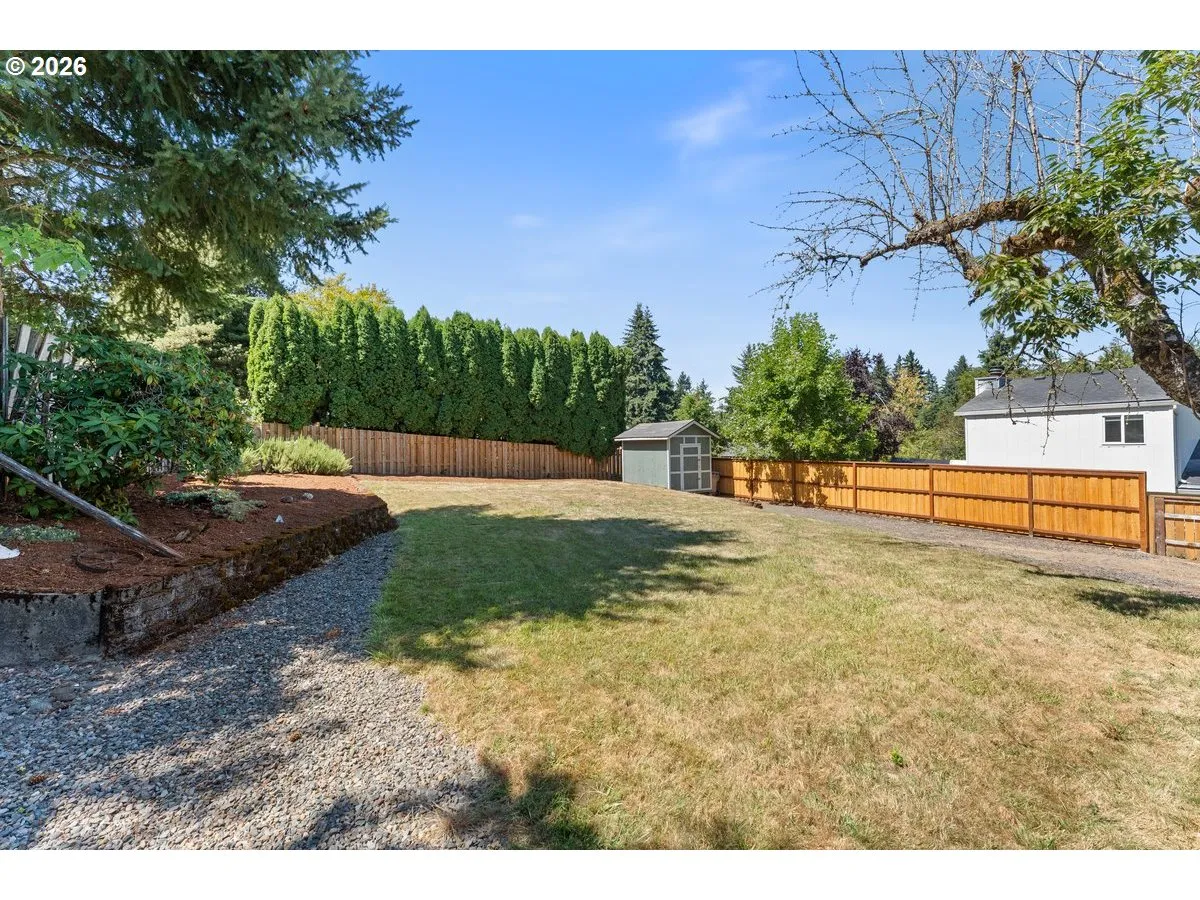 Backyard