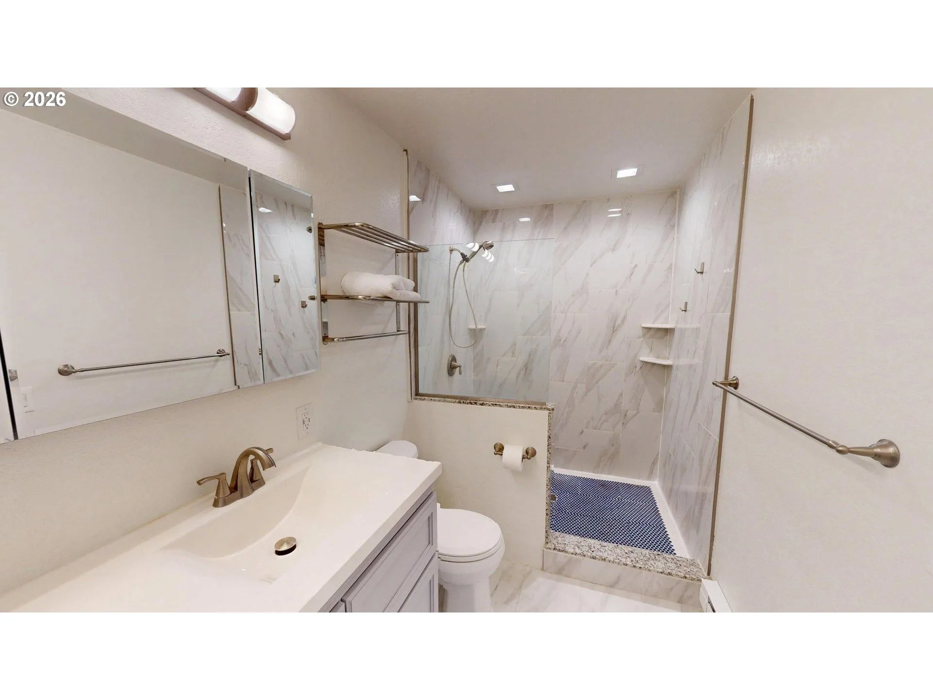 Owner's Suite Bathroom-Walk in Shower