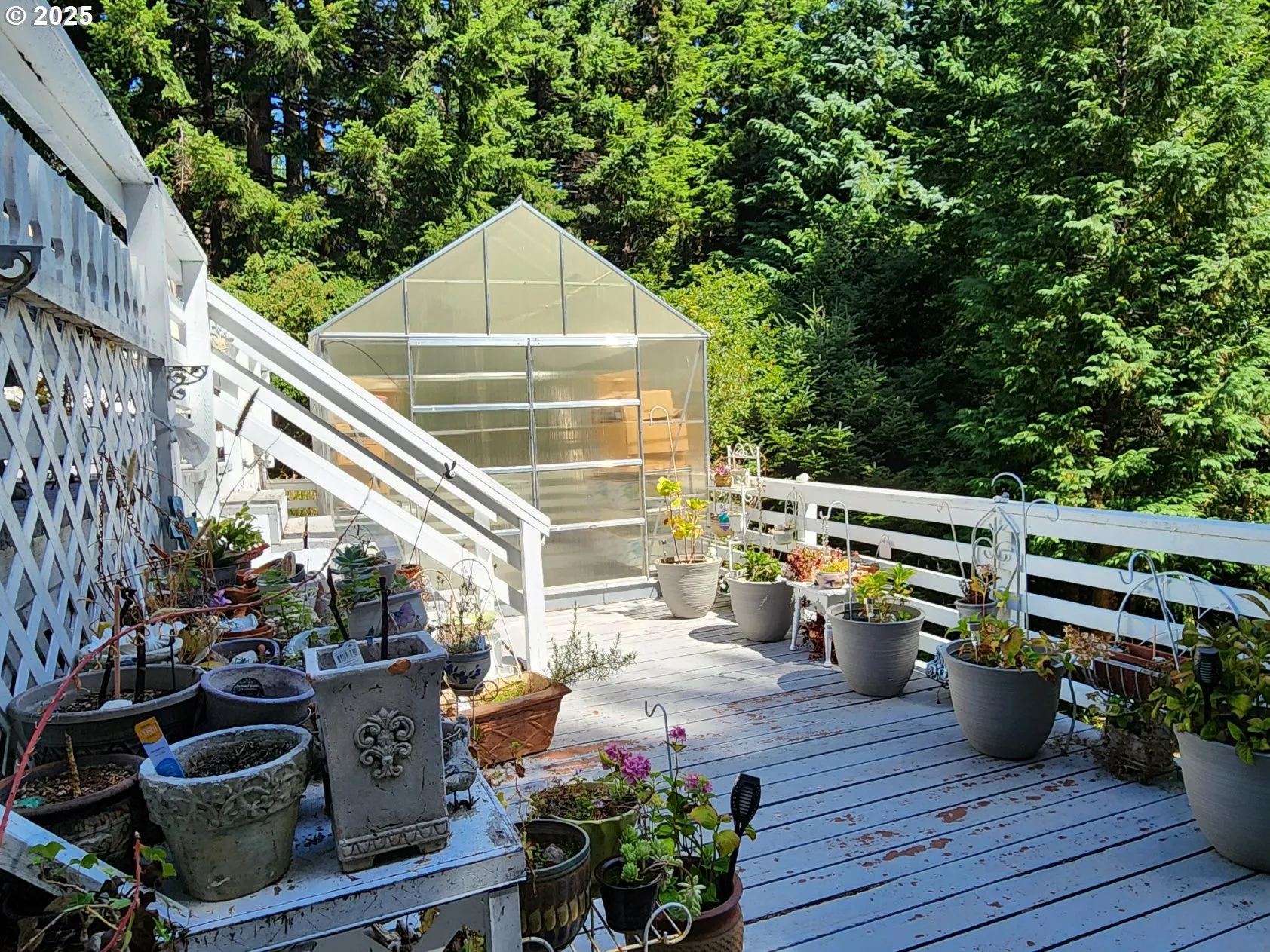 Greenhouse-Finished