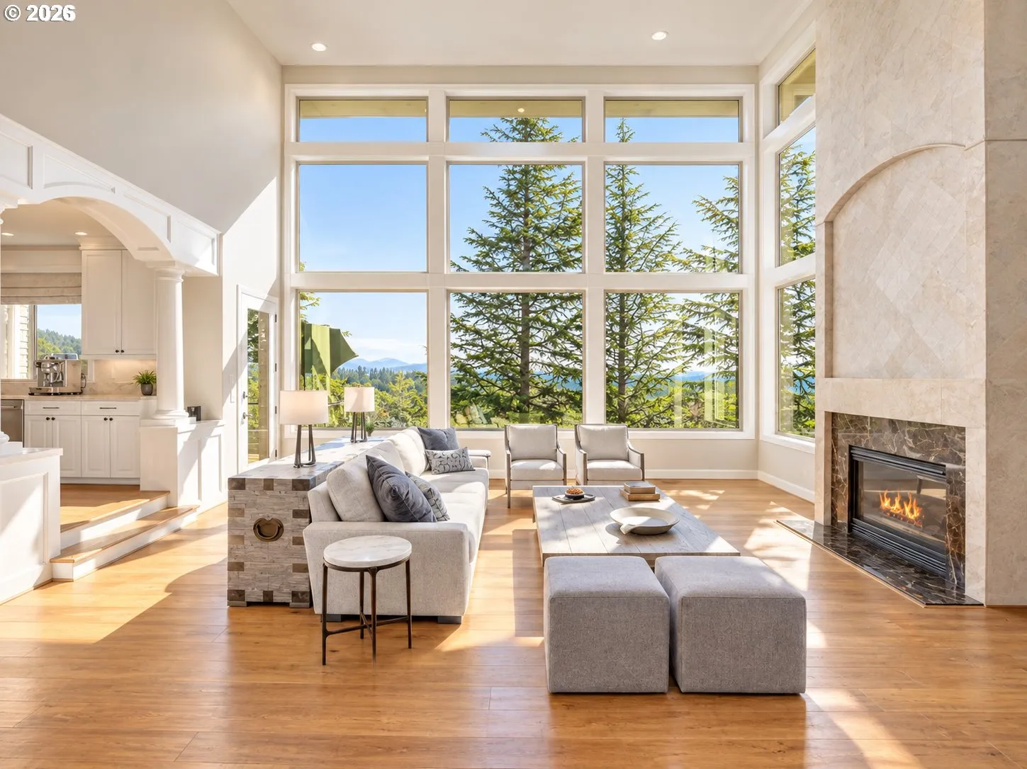 Living Room-Fireplace