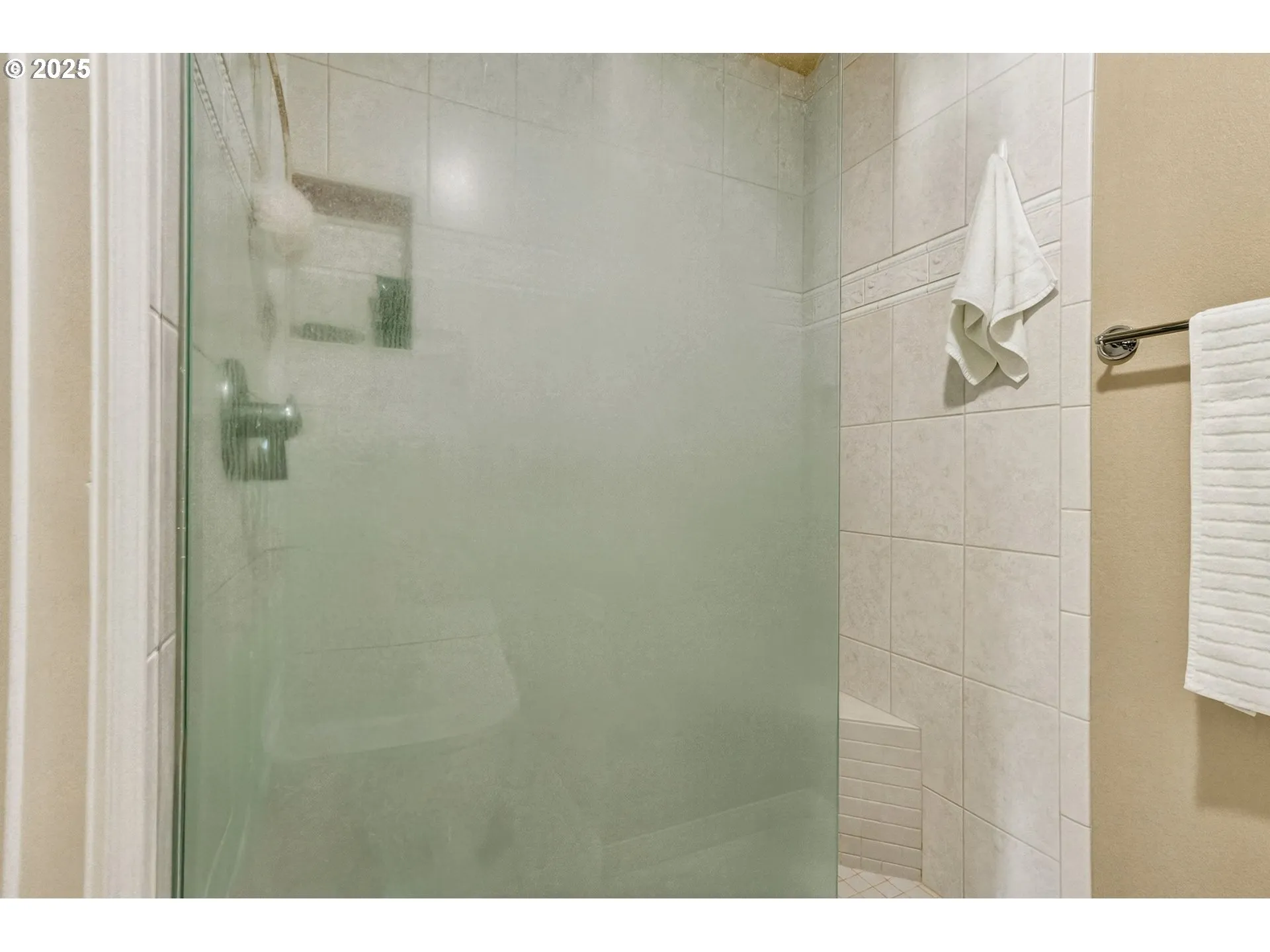 Owner's Suite Bathroom-Walk in Shower