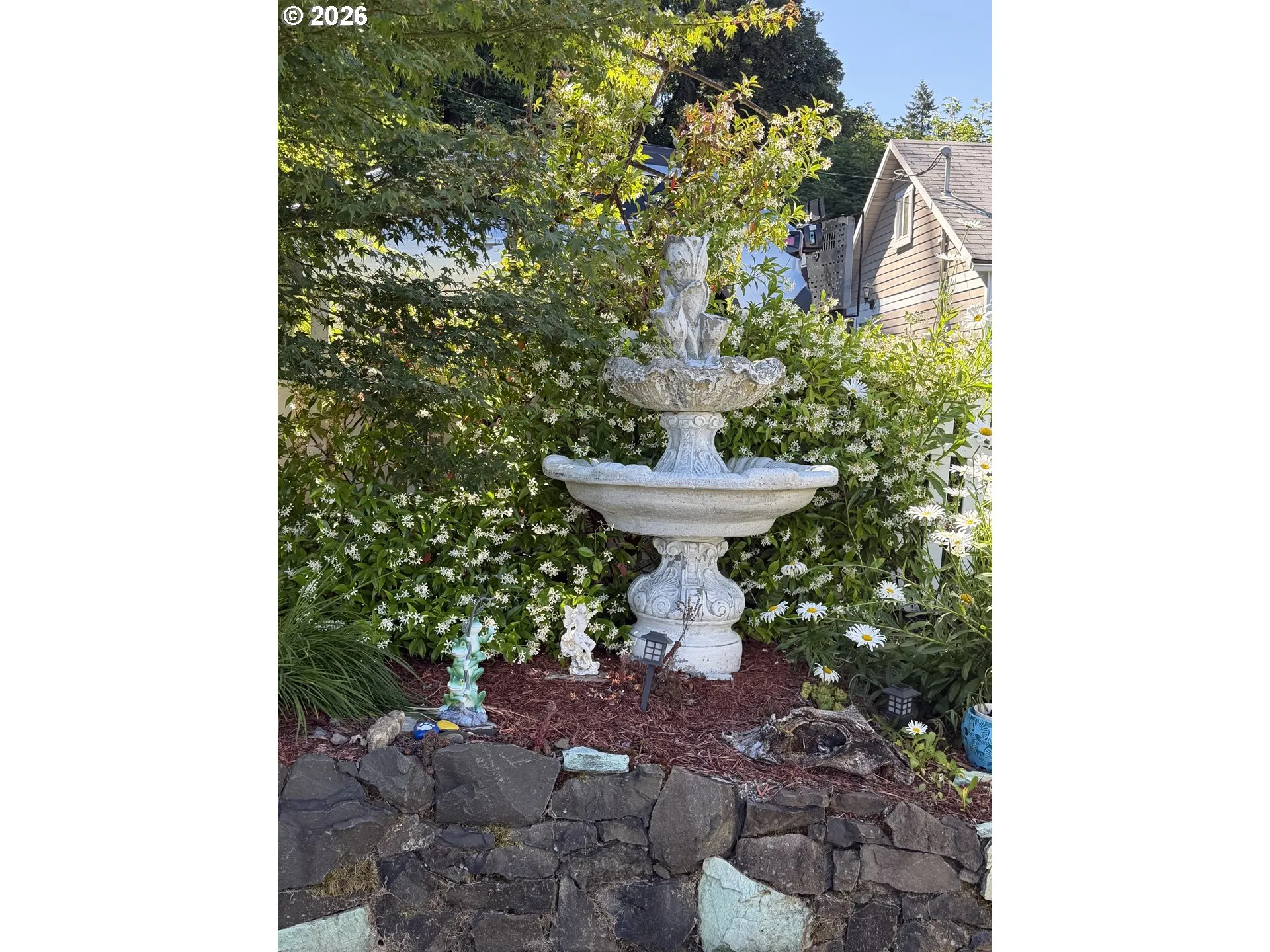 Front Yard-View From