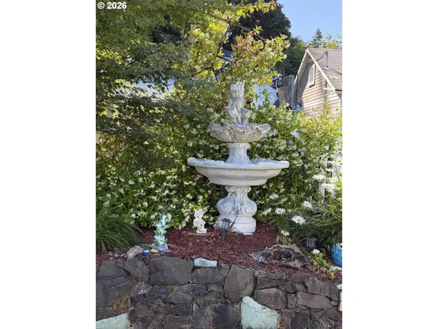 Front Yard-View From