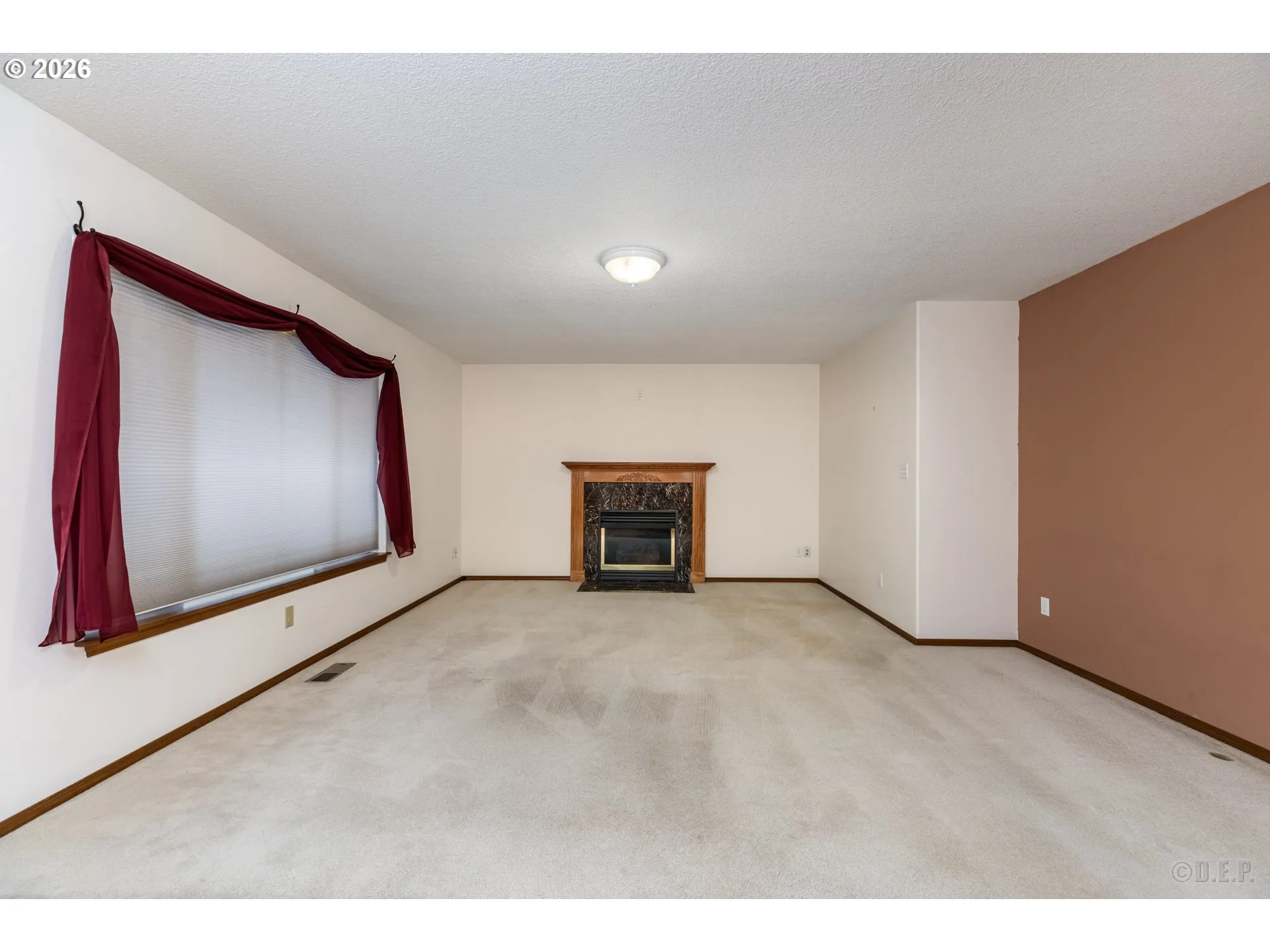 Living Room-Fireplace