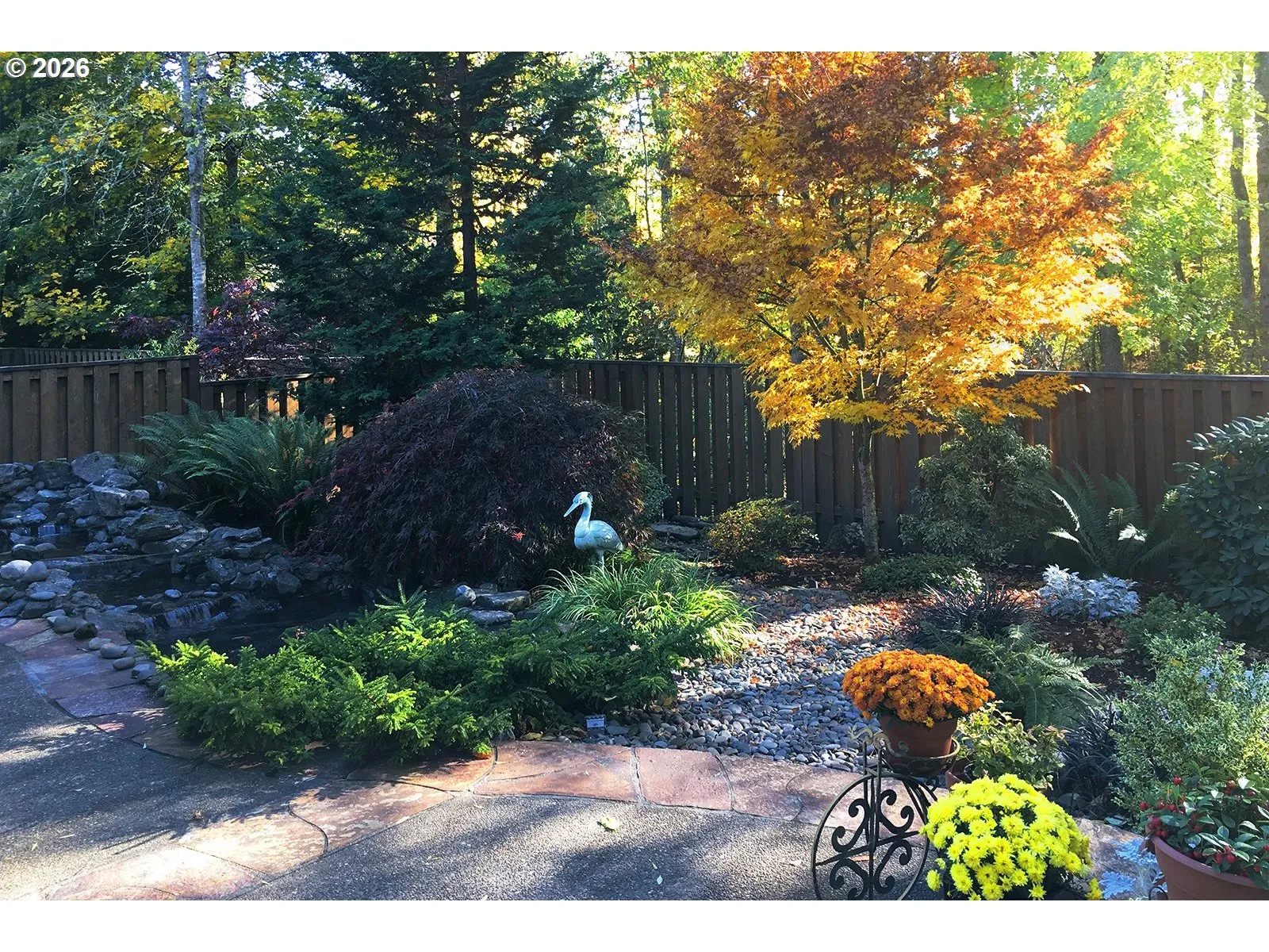 Backyard-Fenced