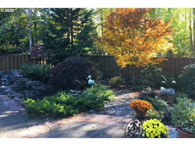 Backyard-Fenced