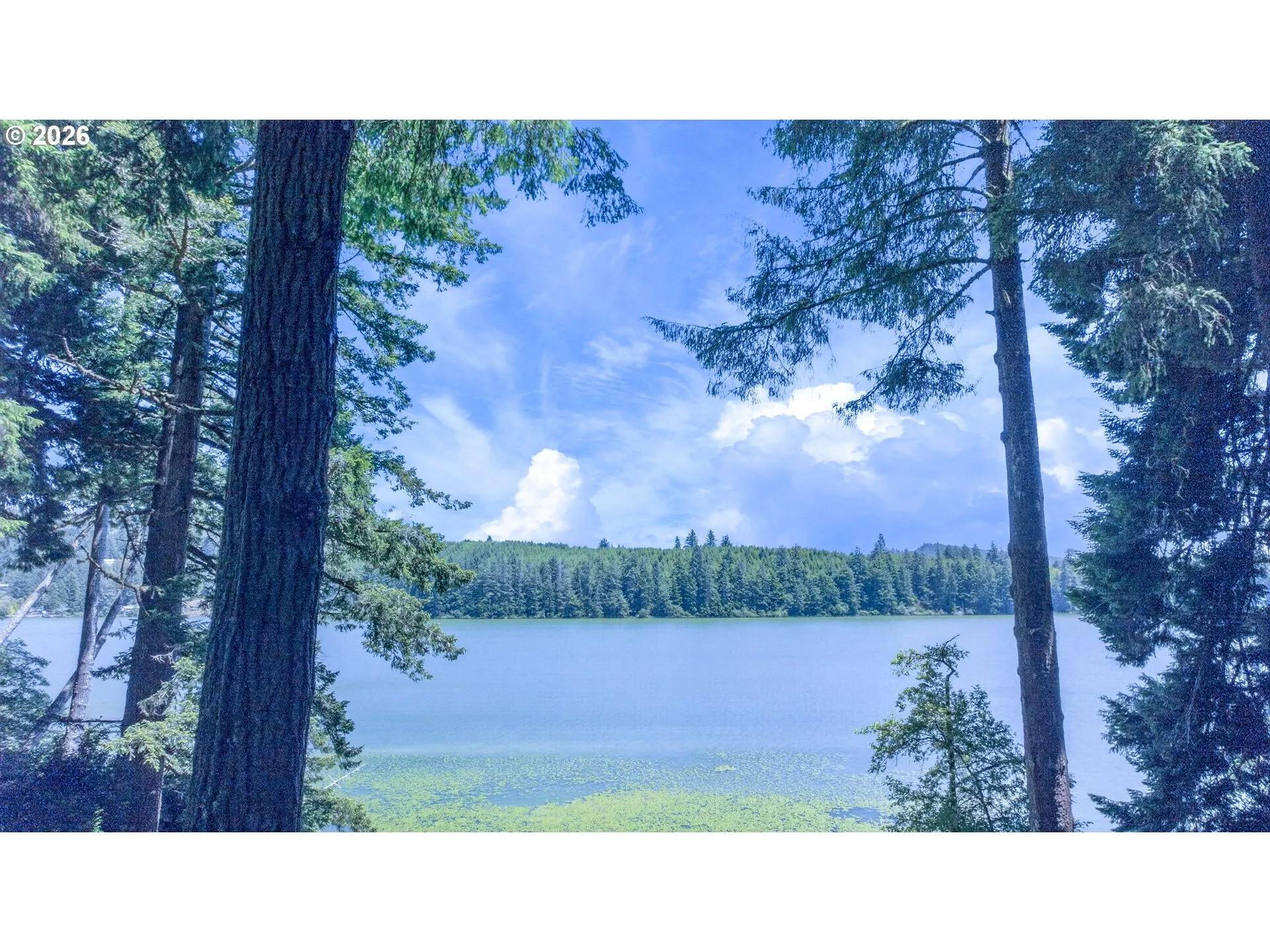 View-Lake