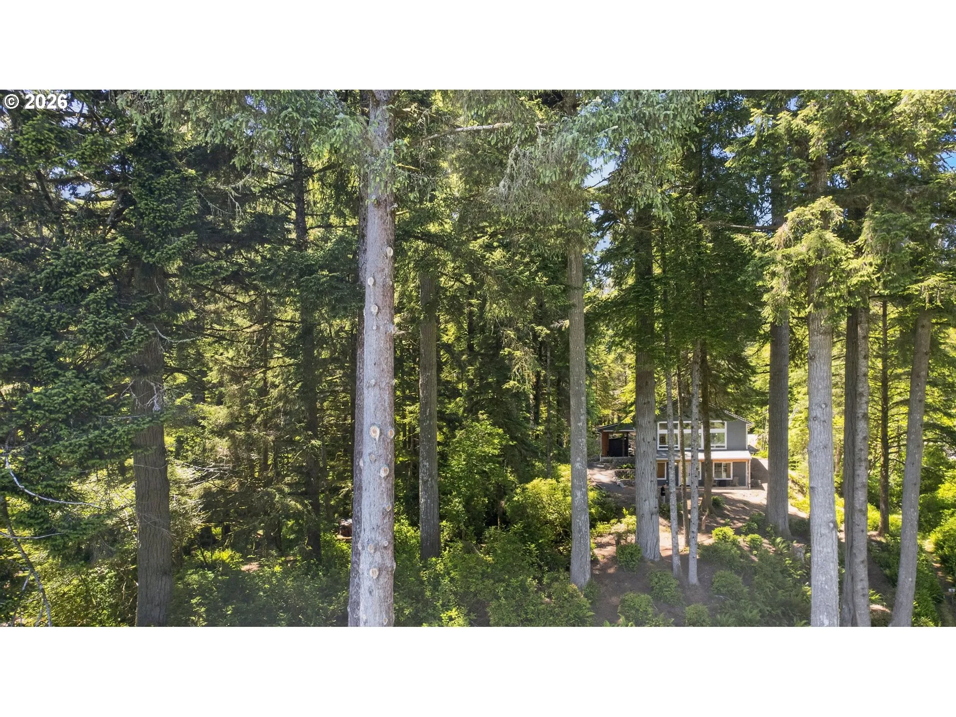 View-Property