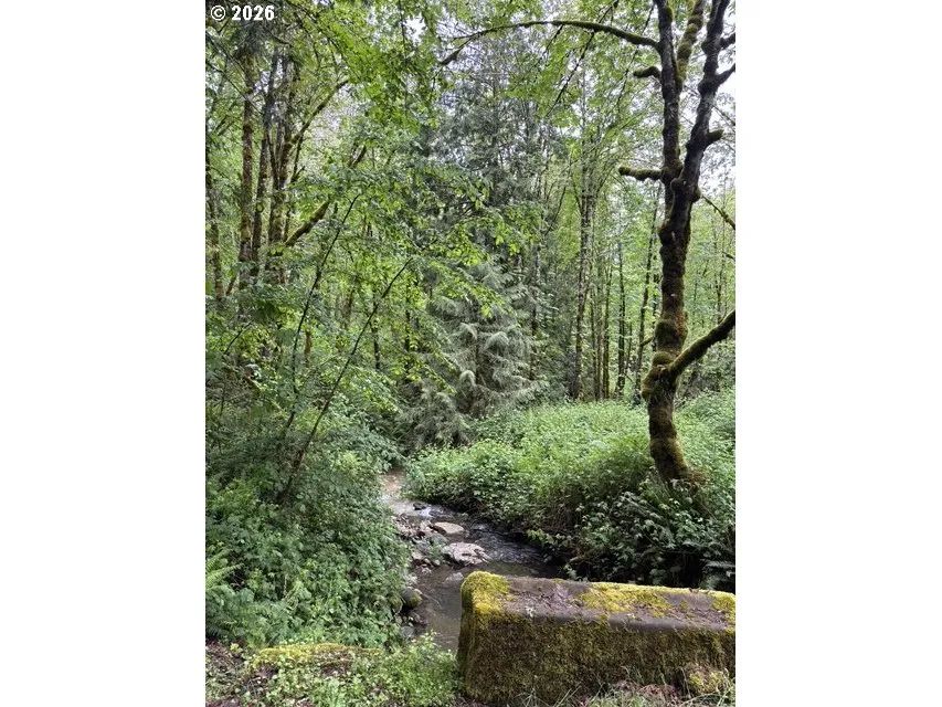 Creek-Year Round