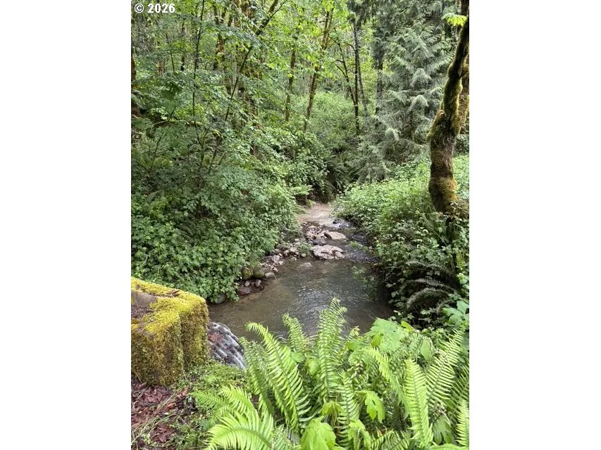 Creek-Year Round