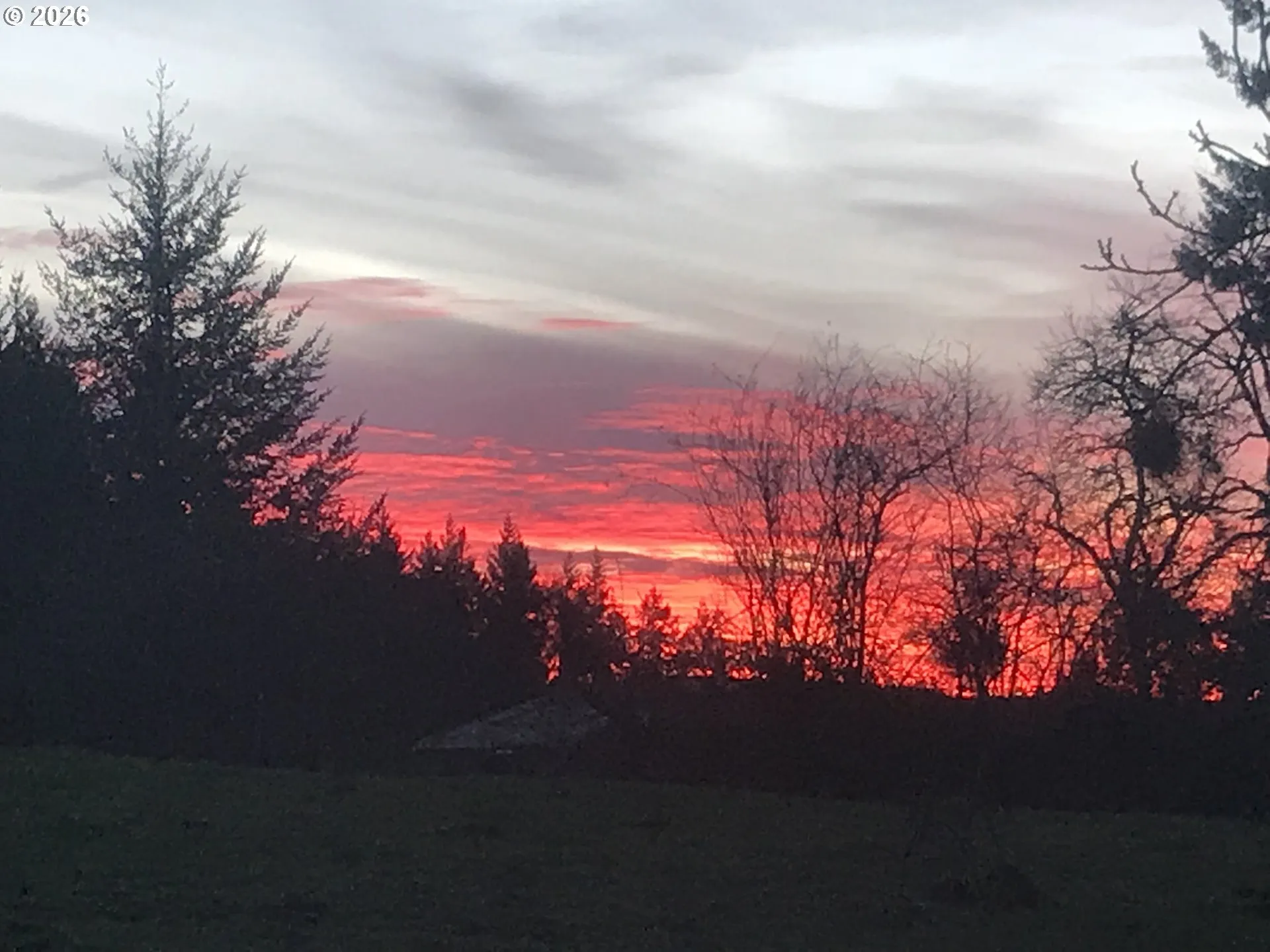 View-Property