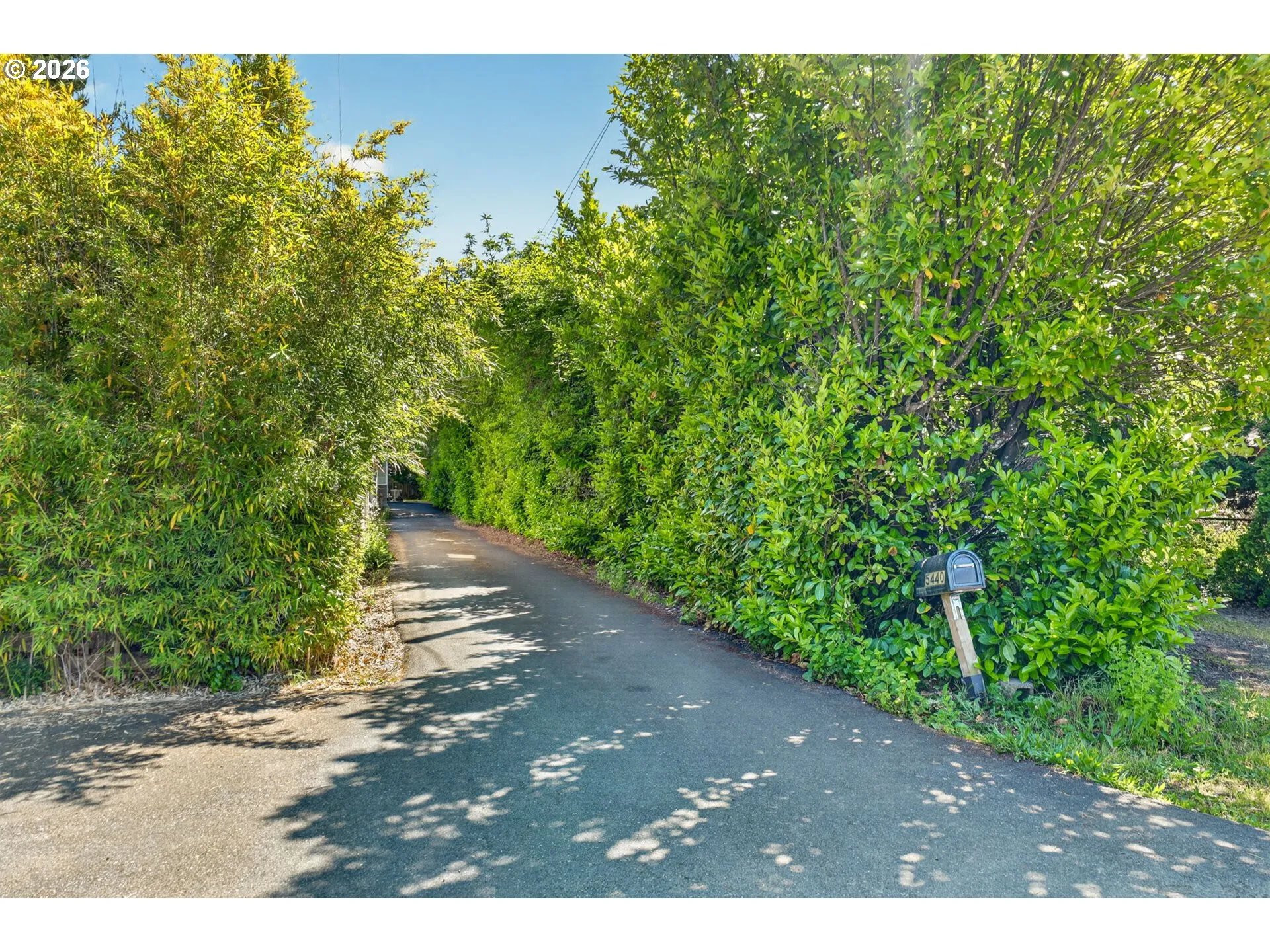 Driveway