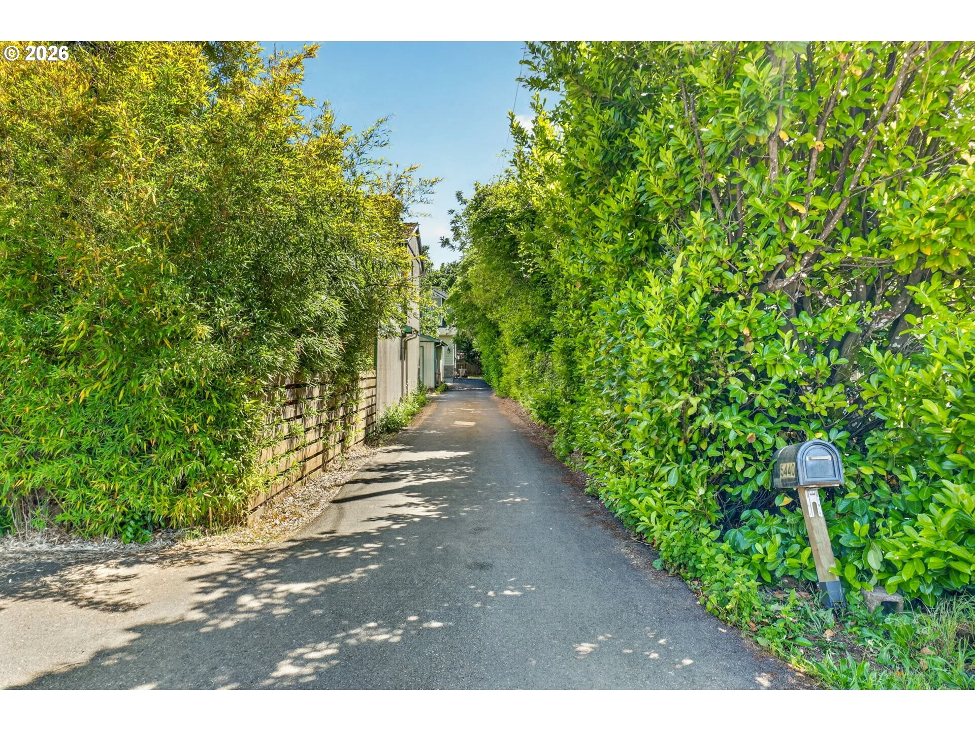 Driveway
