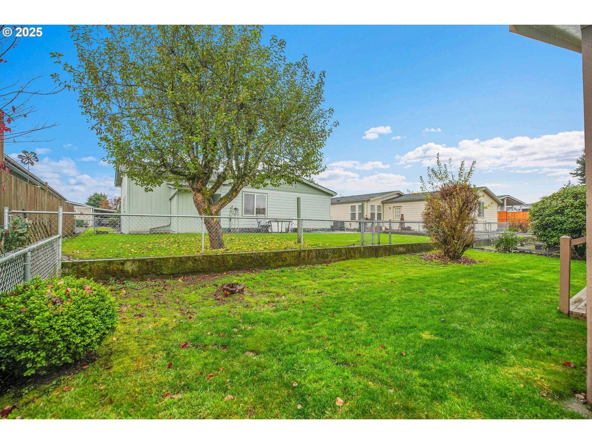 Backyard-Fenced