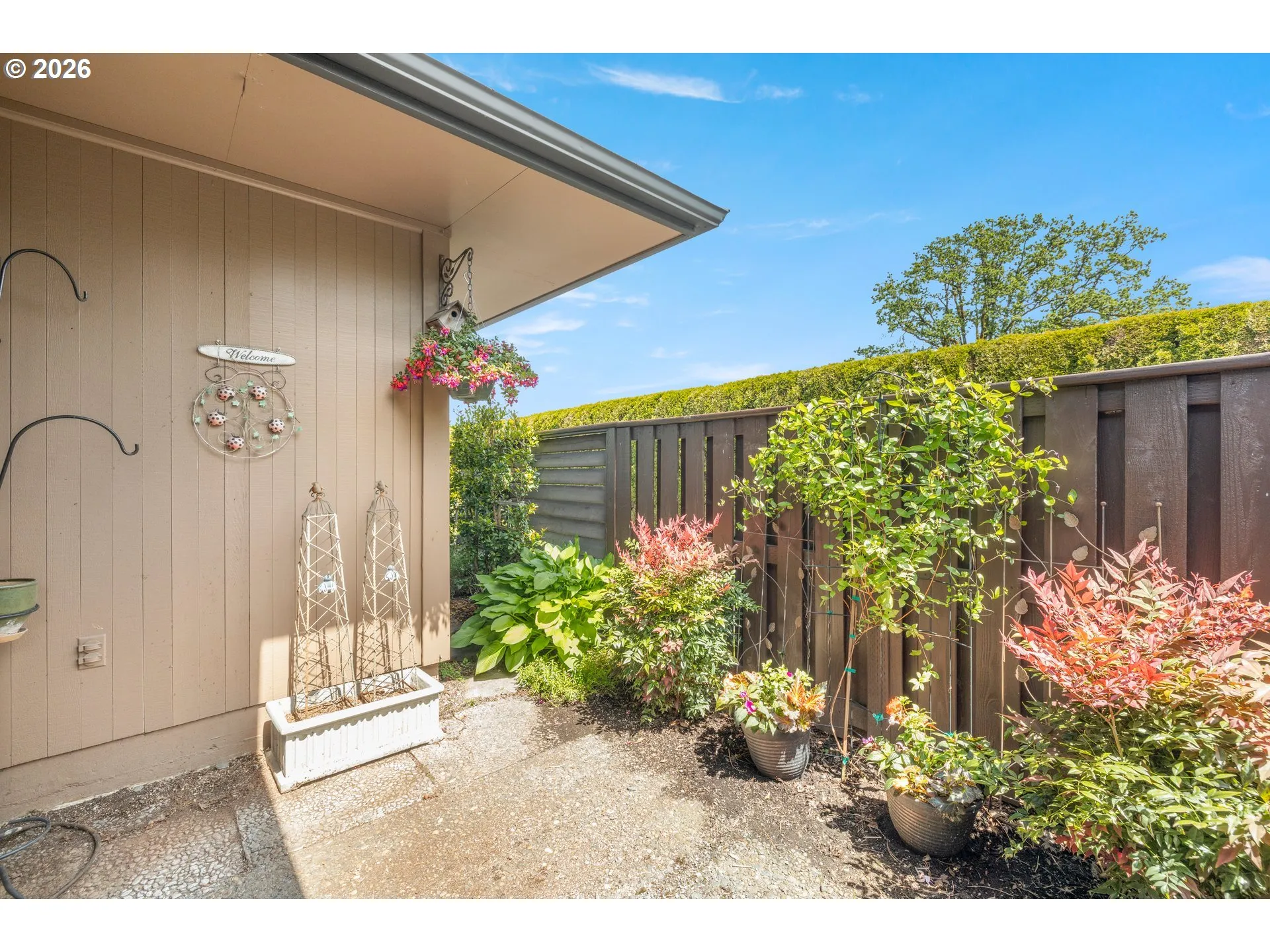 Backyard-Fenced