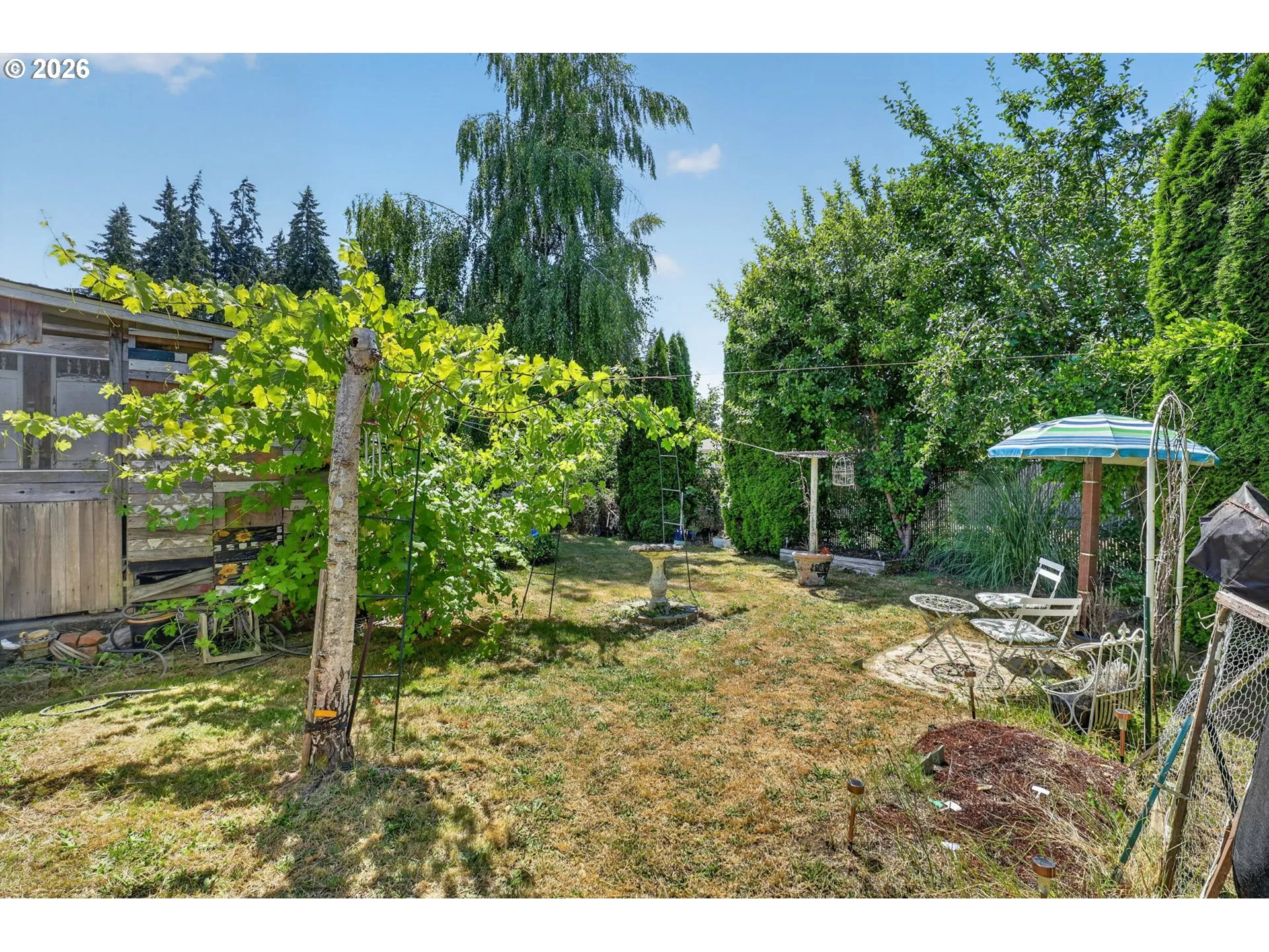 Backyard-Fenced