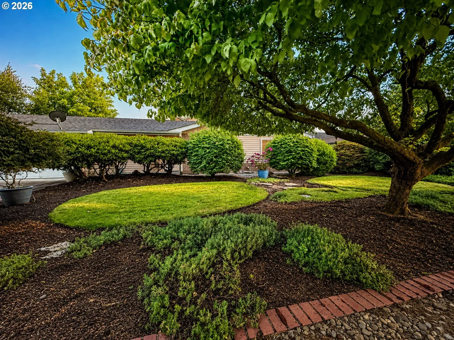 Front Yard