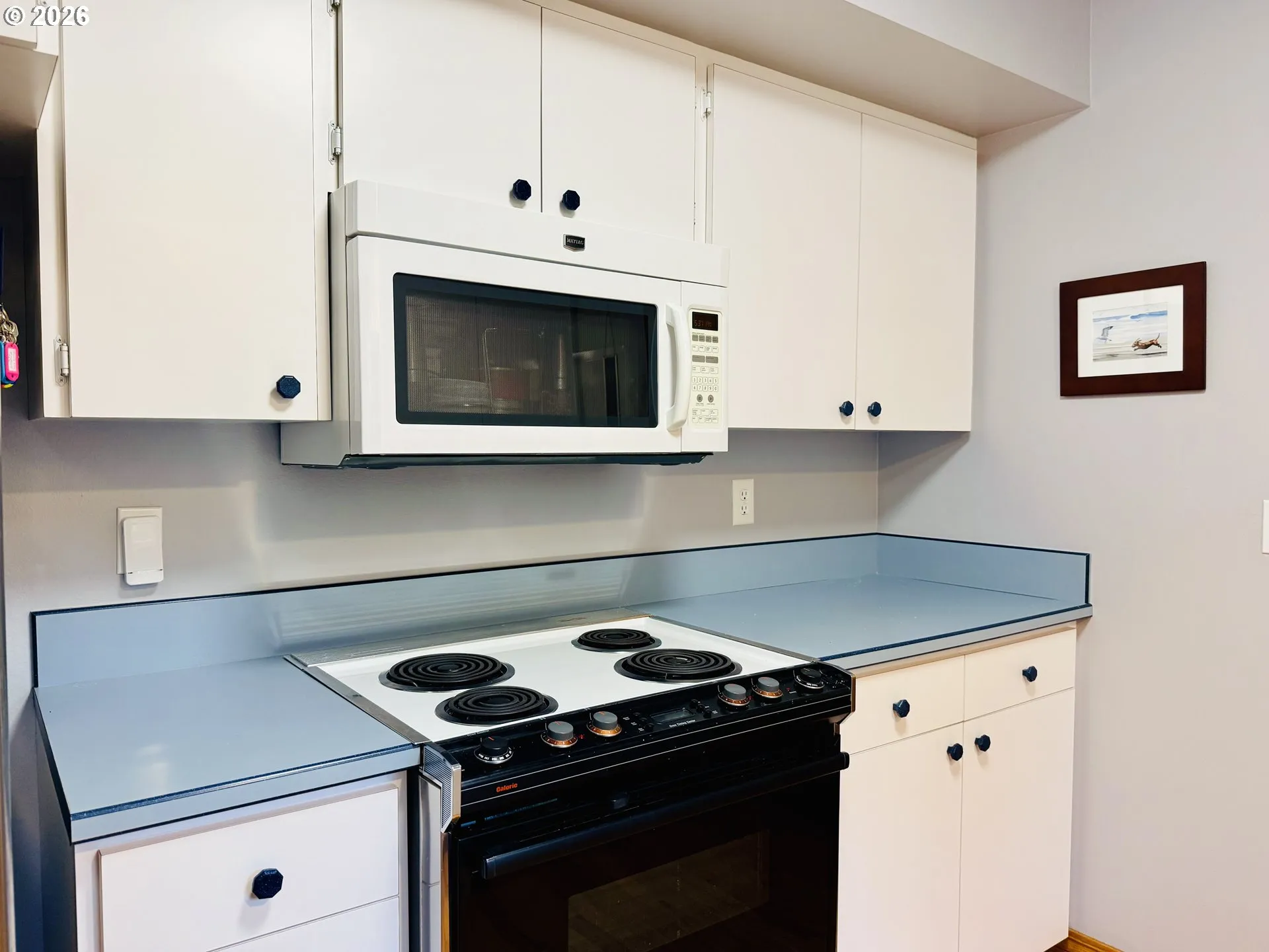 Kitchen-Oven
