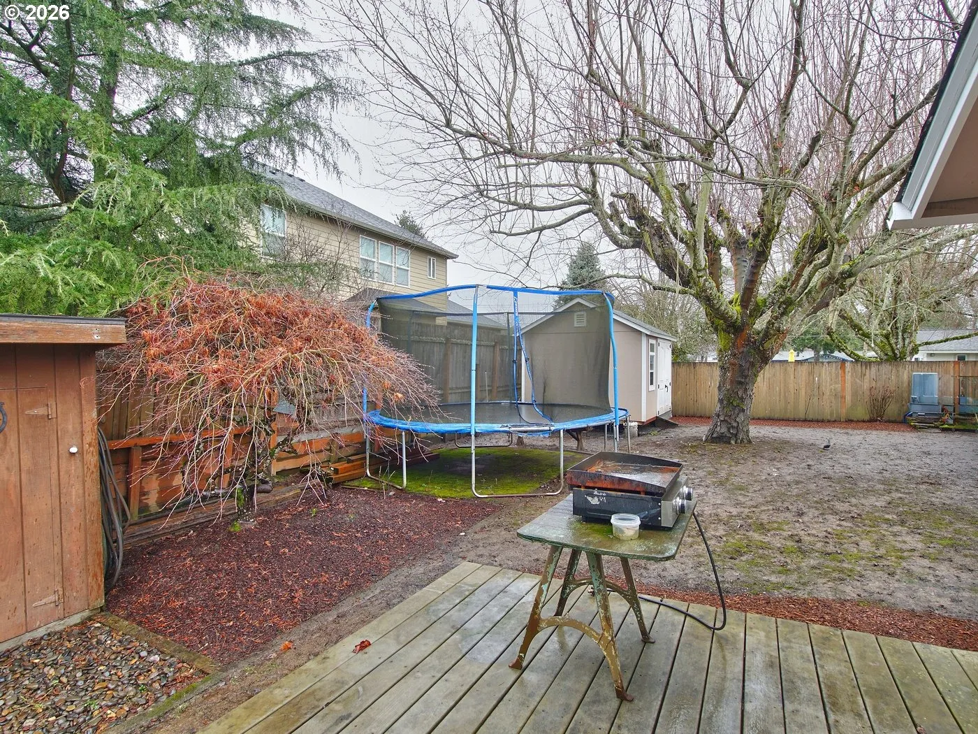 Backyard-Fenced
