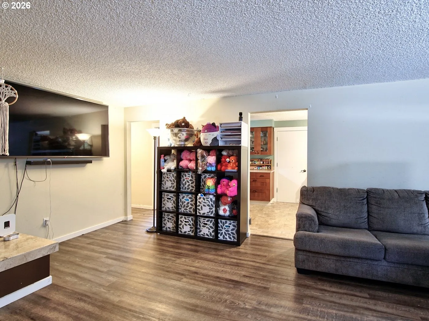 Living Room/Entrance