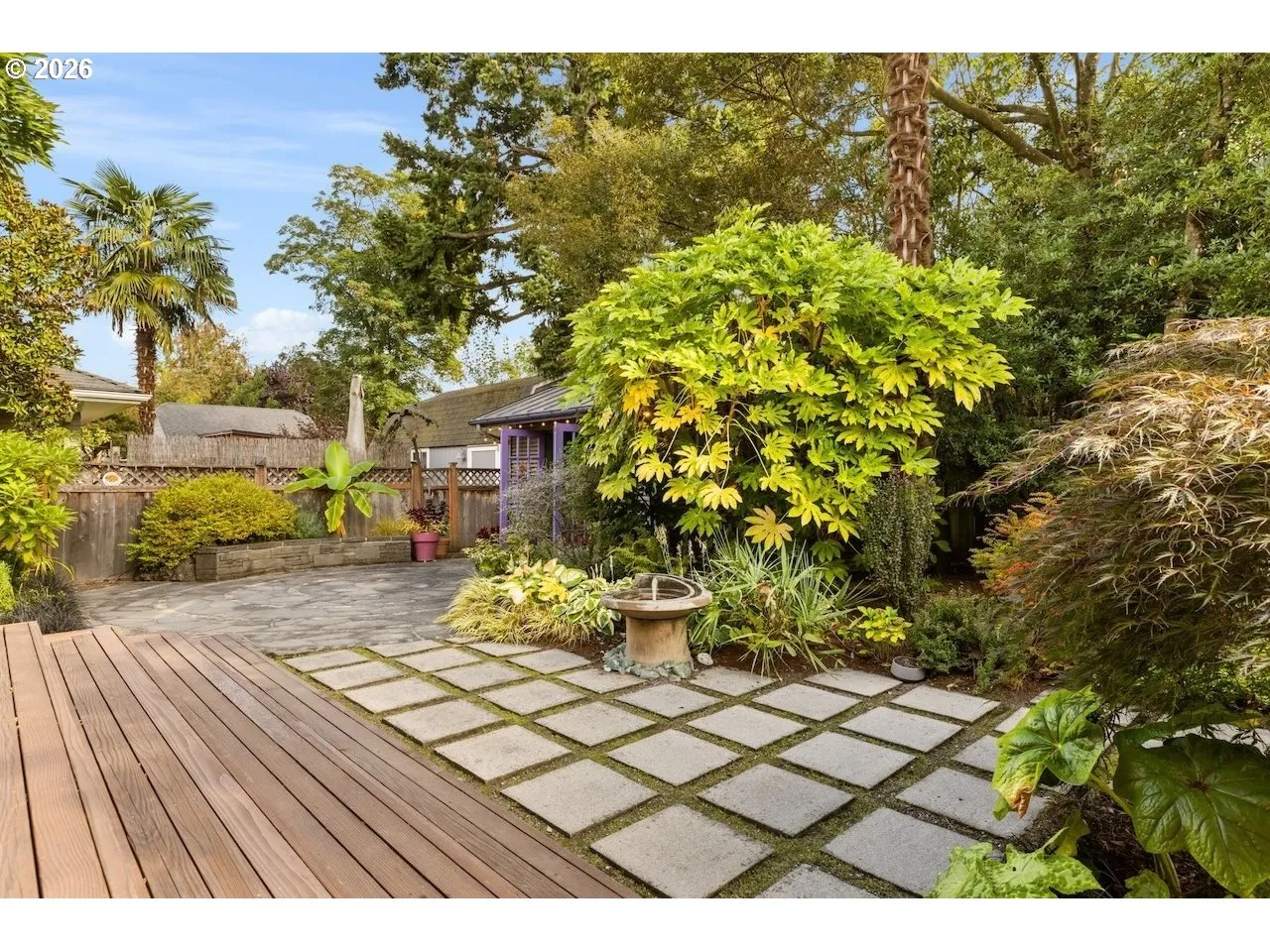 Backyard