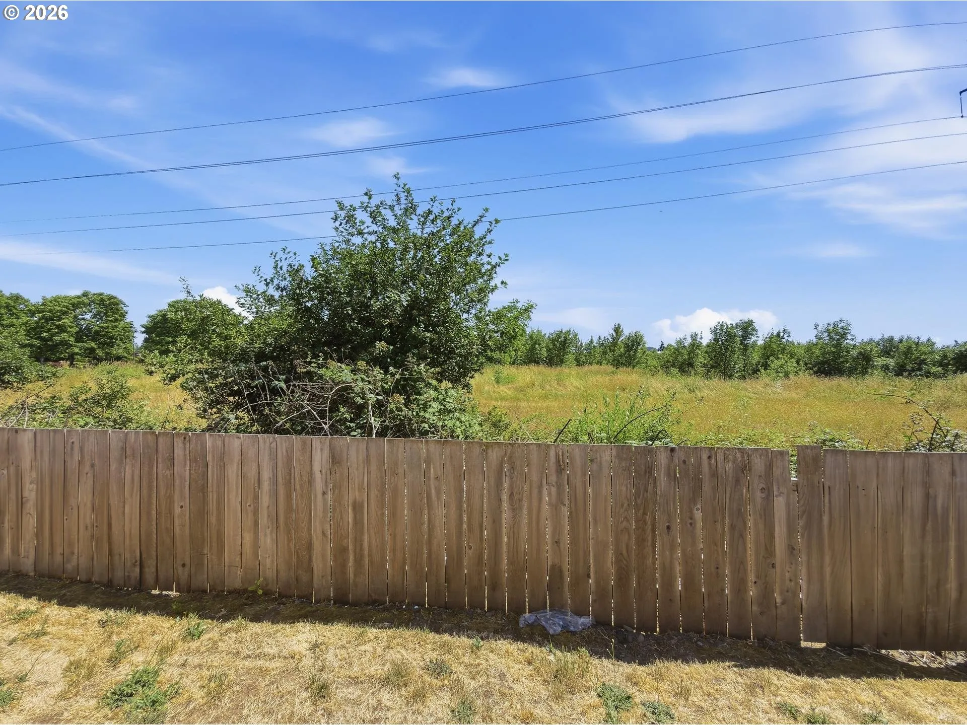 Backyard-Fenced