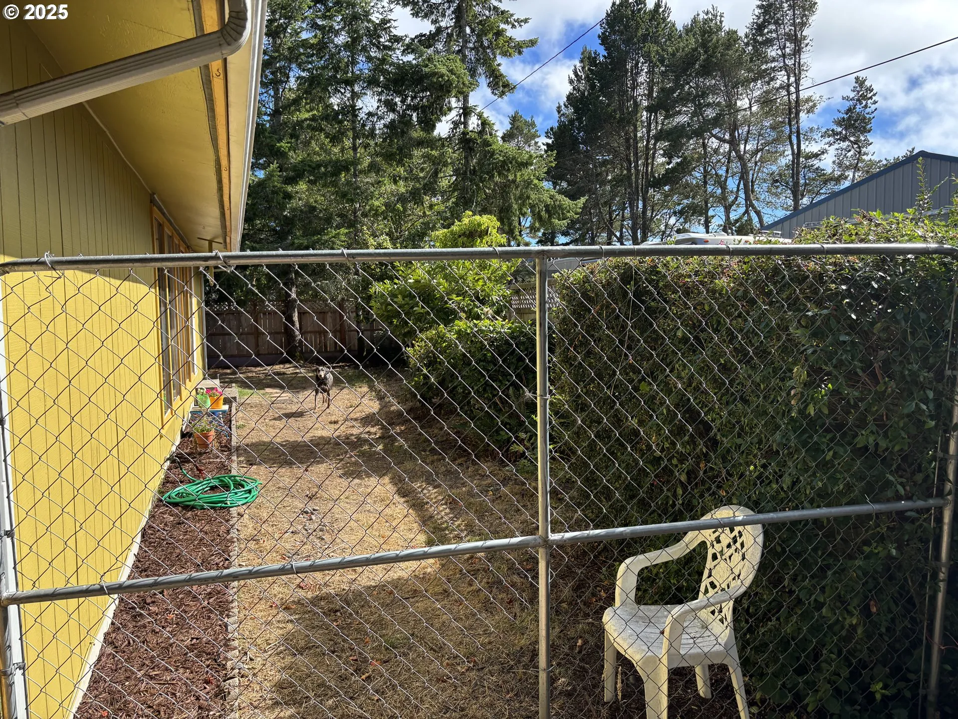Backyard-# 2