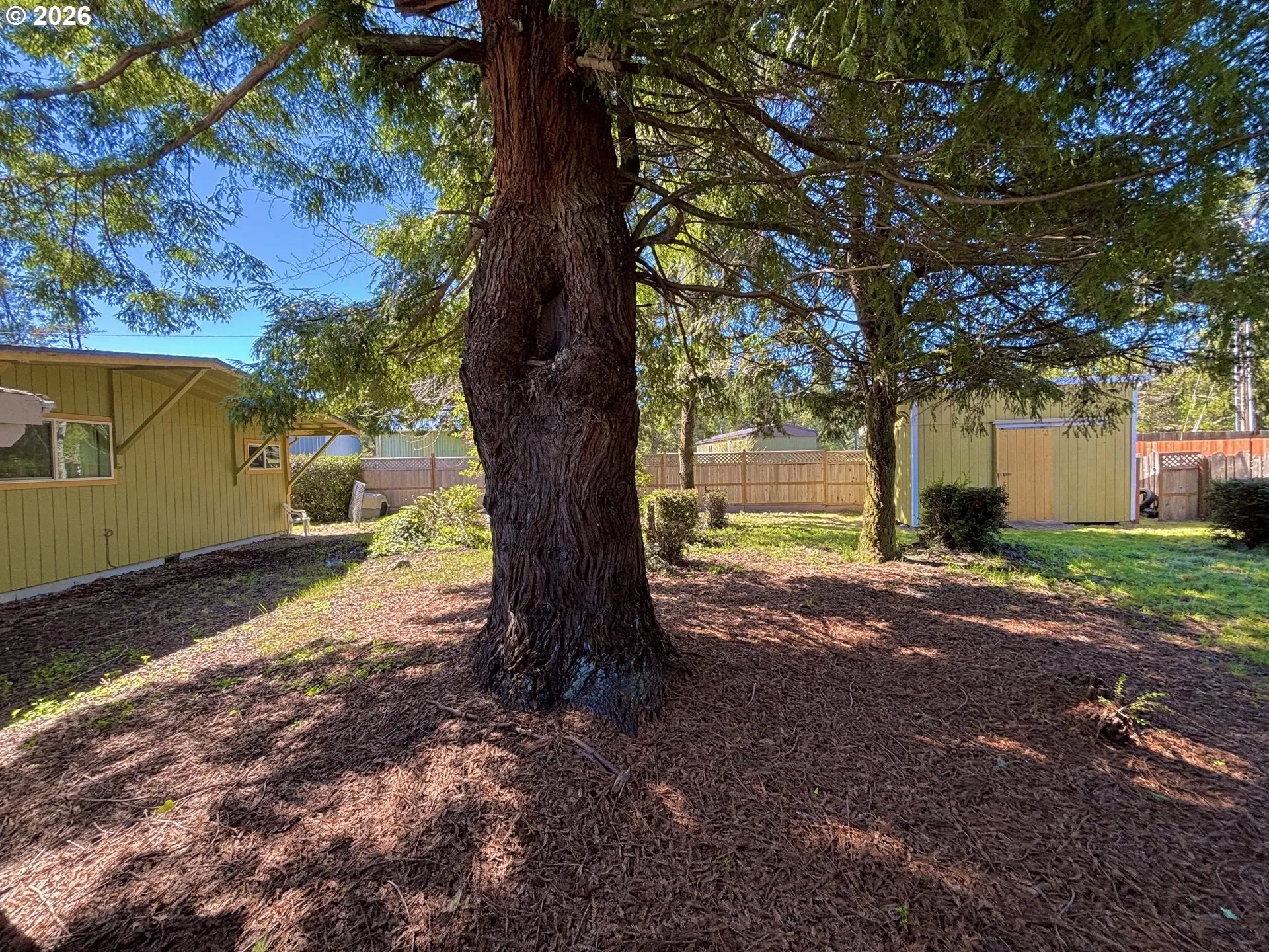 Backyard-Fenced