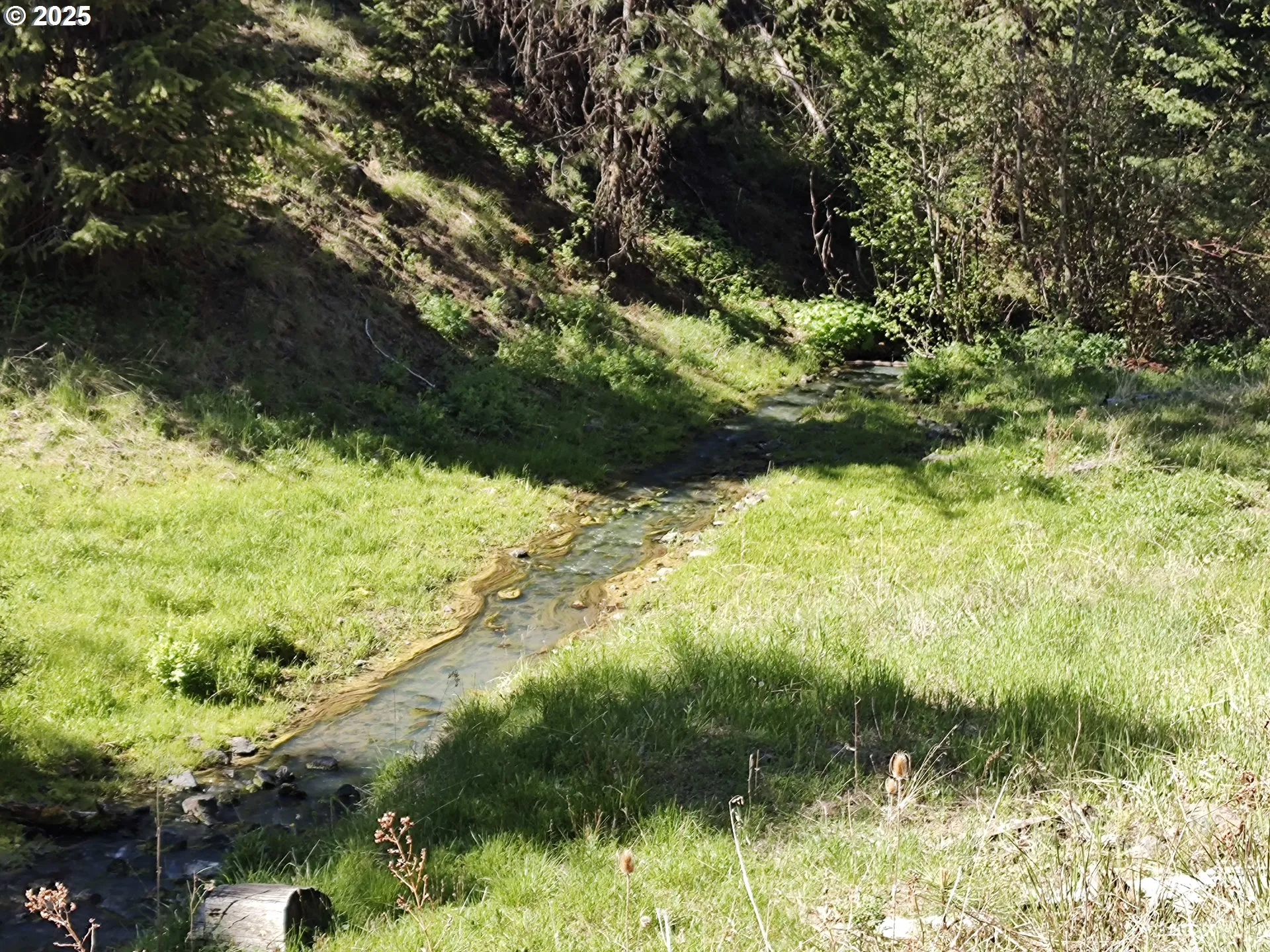 Creek