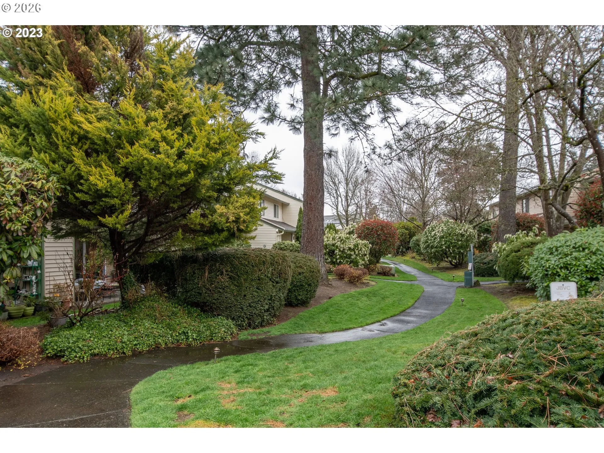 Backyard-View From