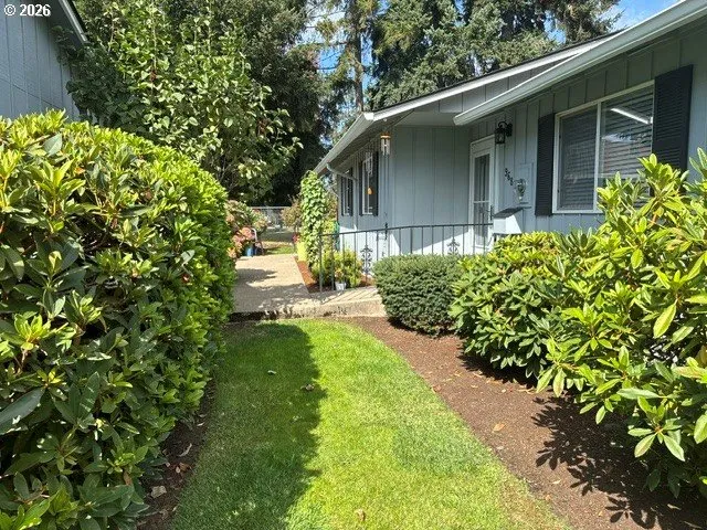 Front Yard