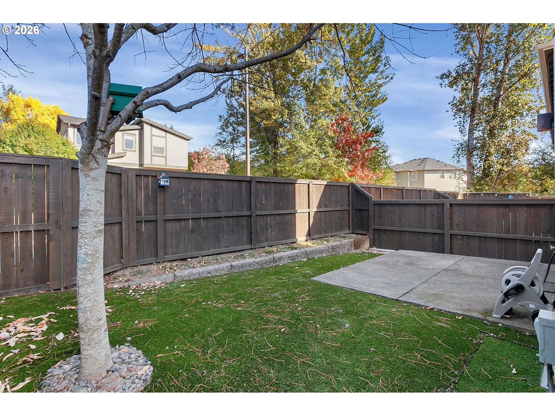 Backyard