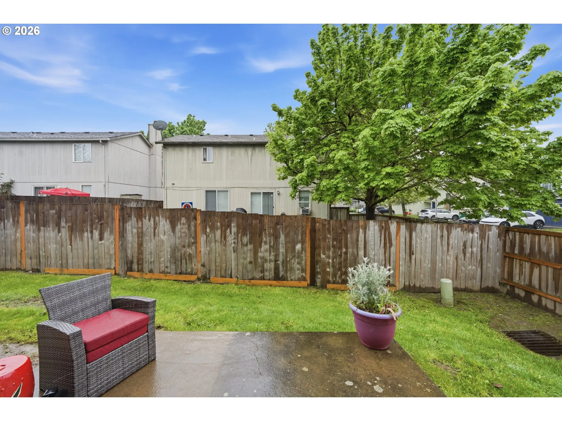 Backyard-View From