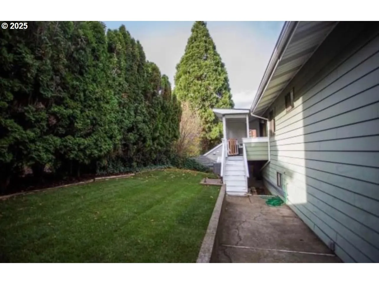 Backyard-Fenced
