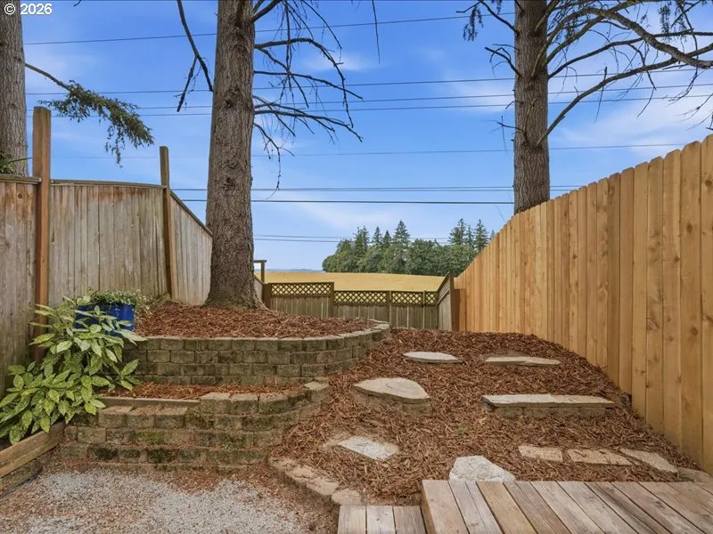 Yard-Landscaped
