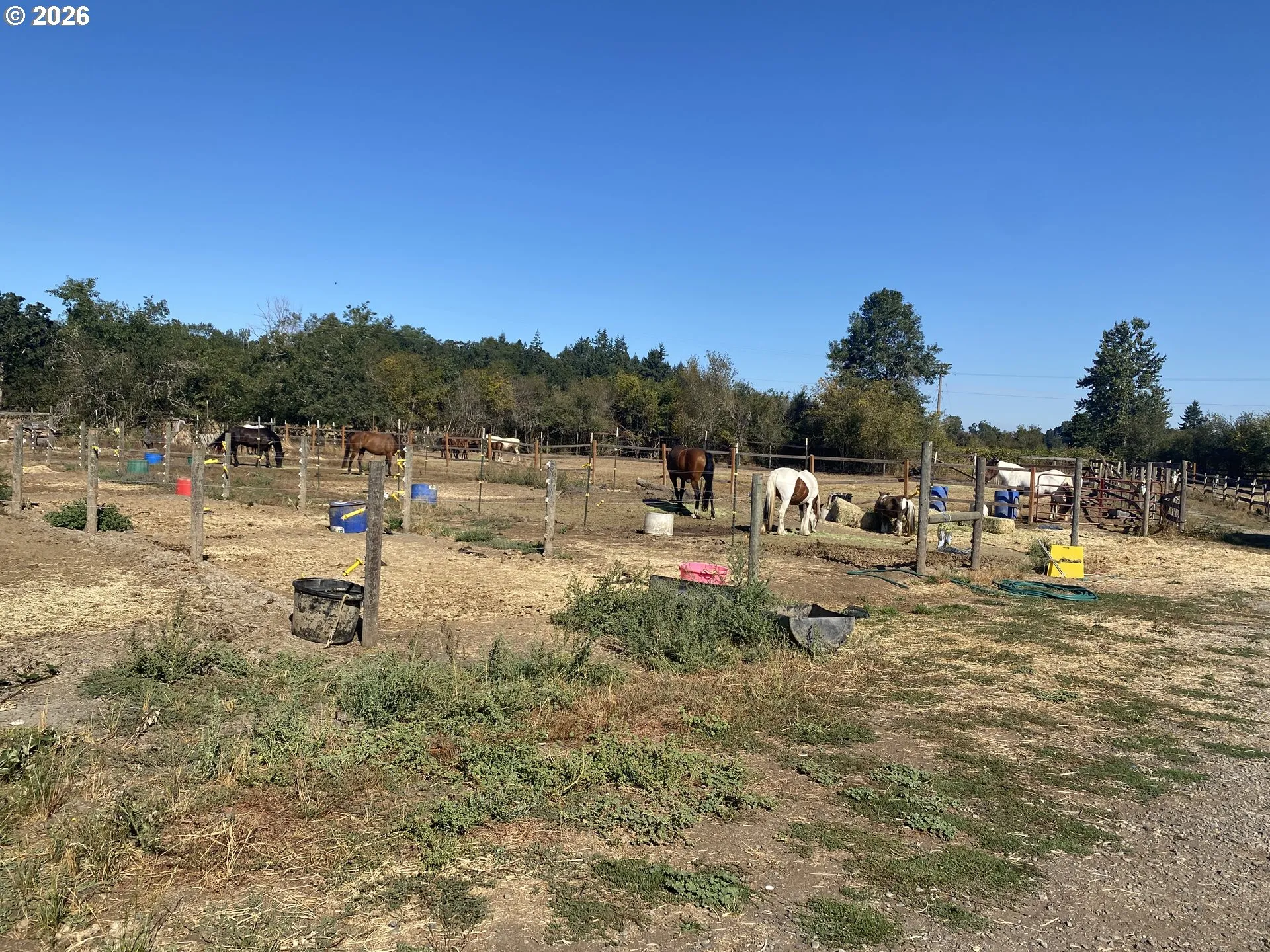 Pasture