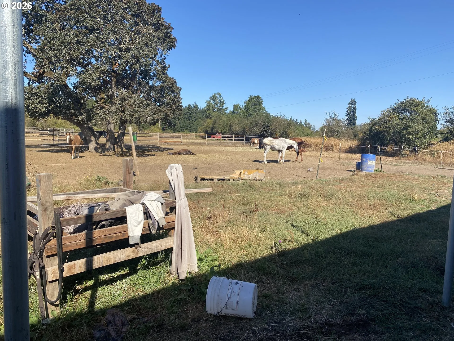 Pasture