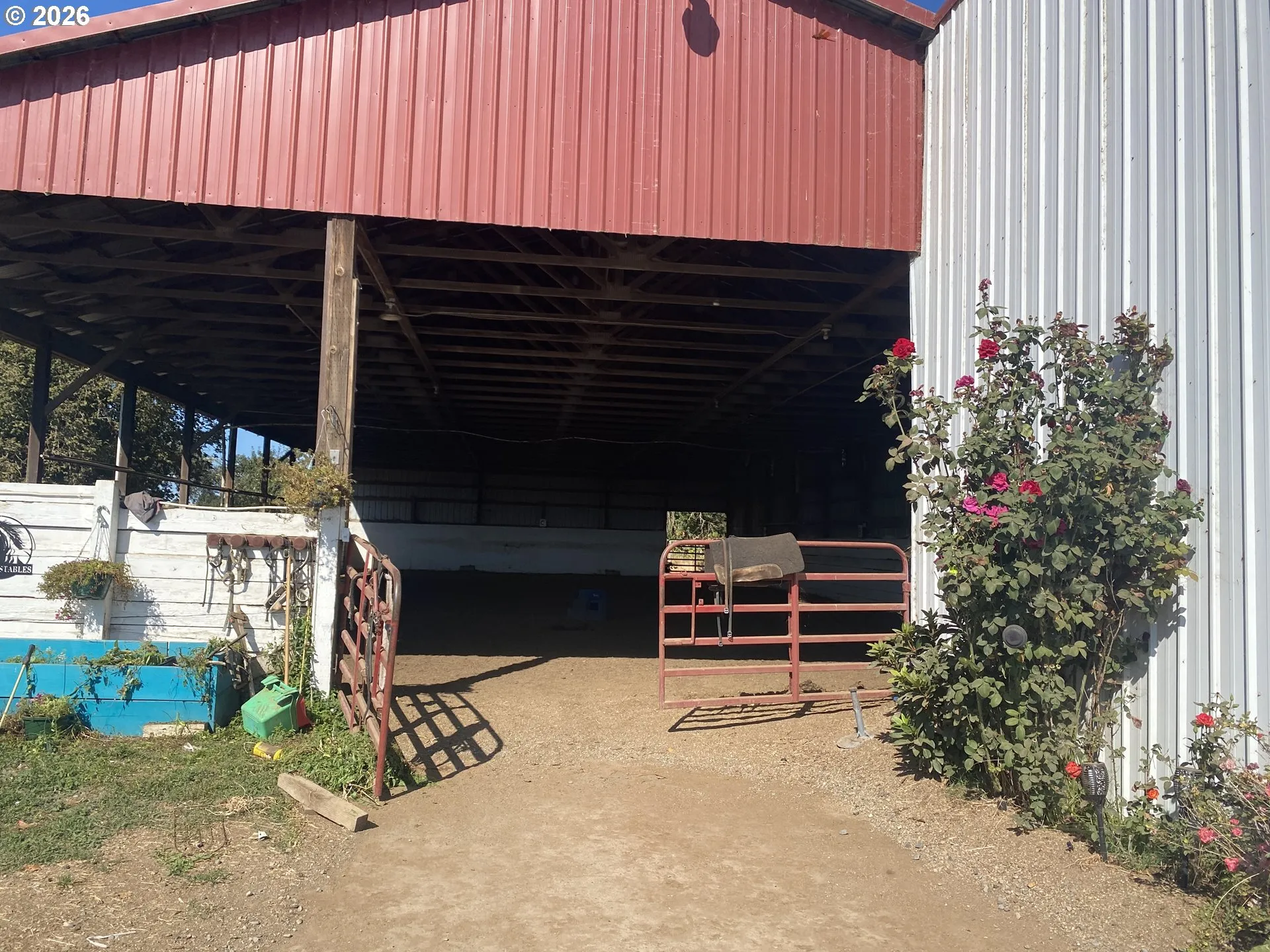 Arena