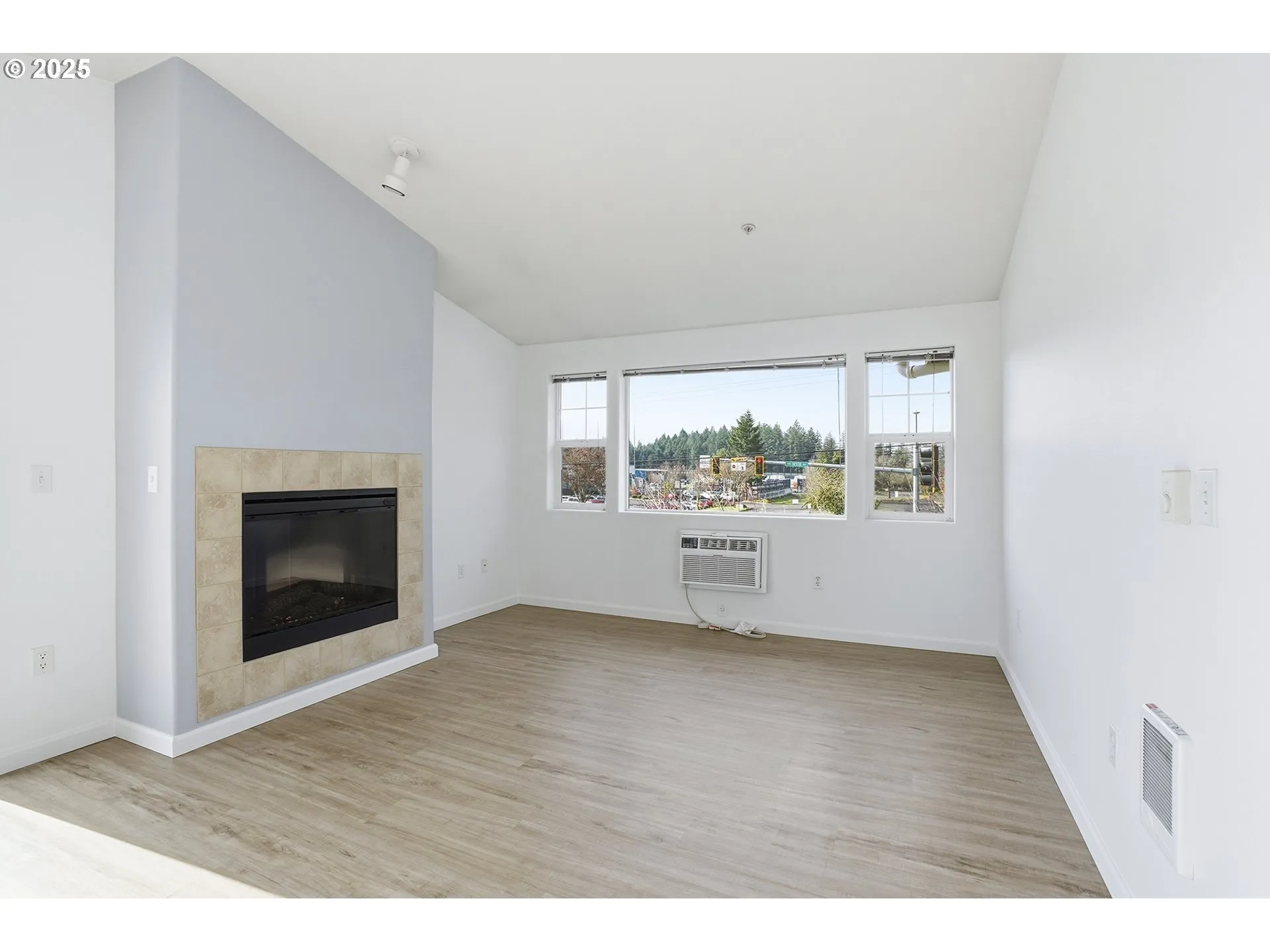 Living Room-Fireplace